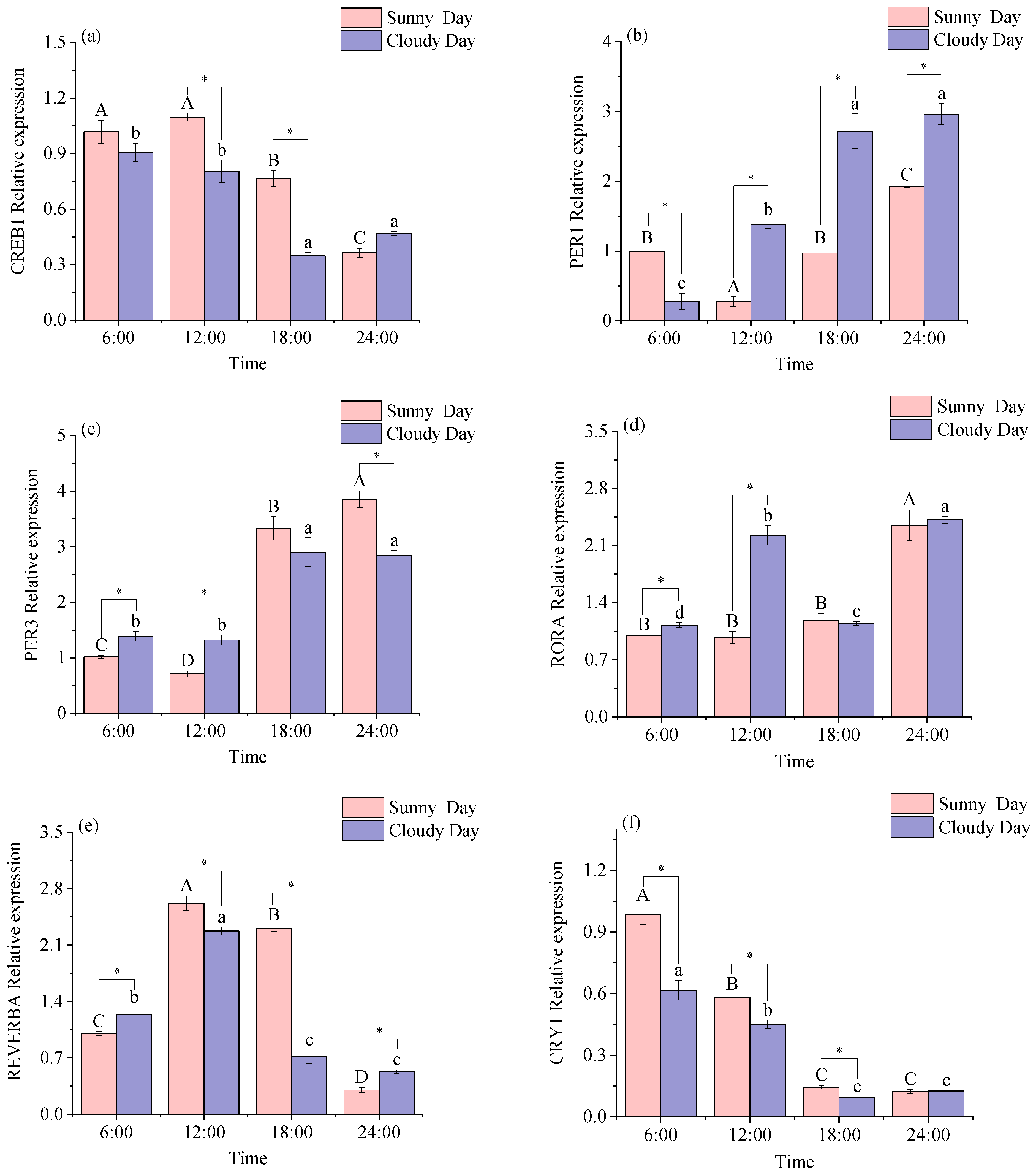 Biology 12 01211 g001a Biology 12 01211 g001a