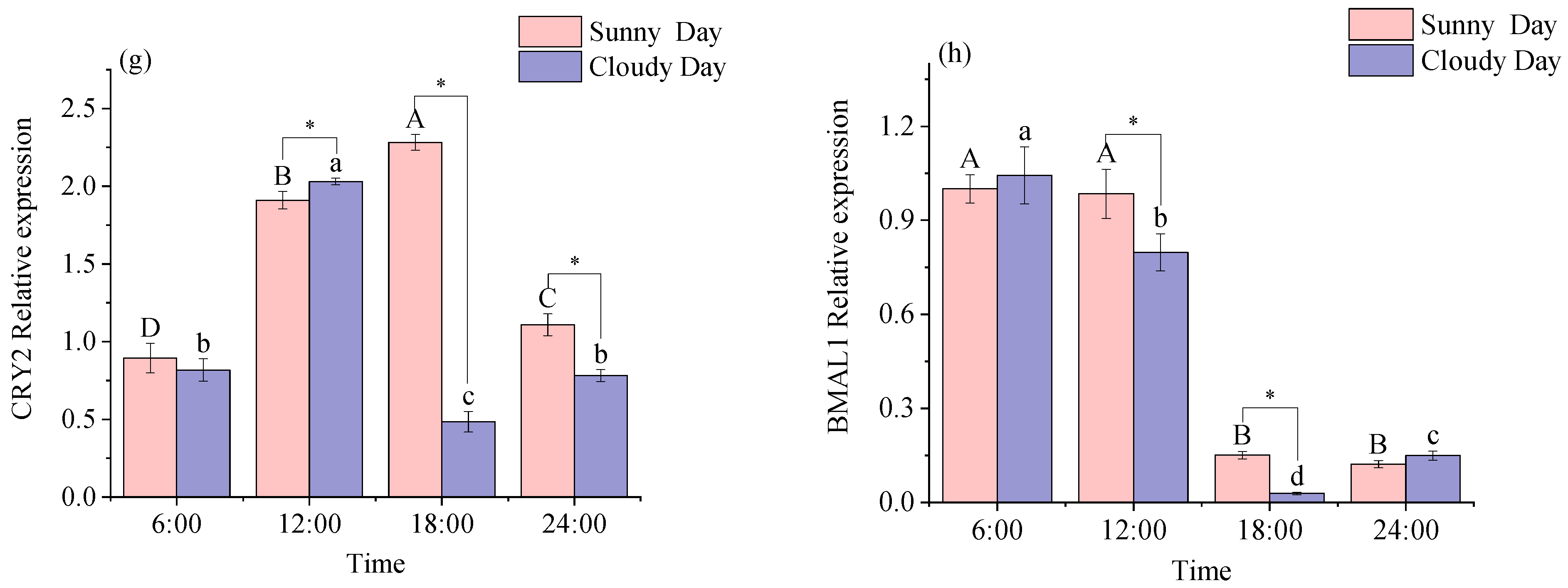 Biology 12 01211 g001b Biology 12 01211 g001b