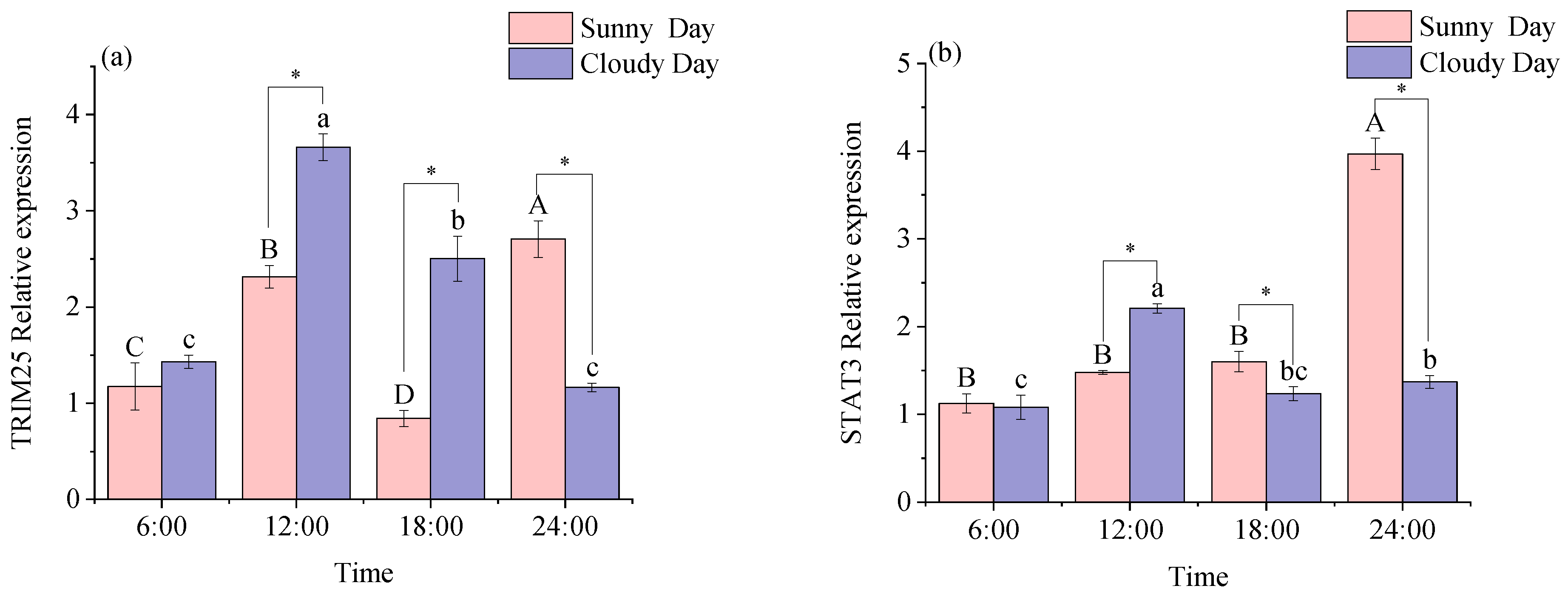 Biology 12 01211 g003a Biology 12 01211 g003a