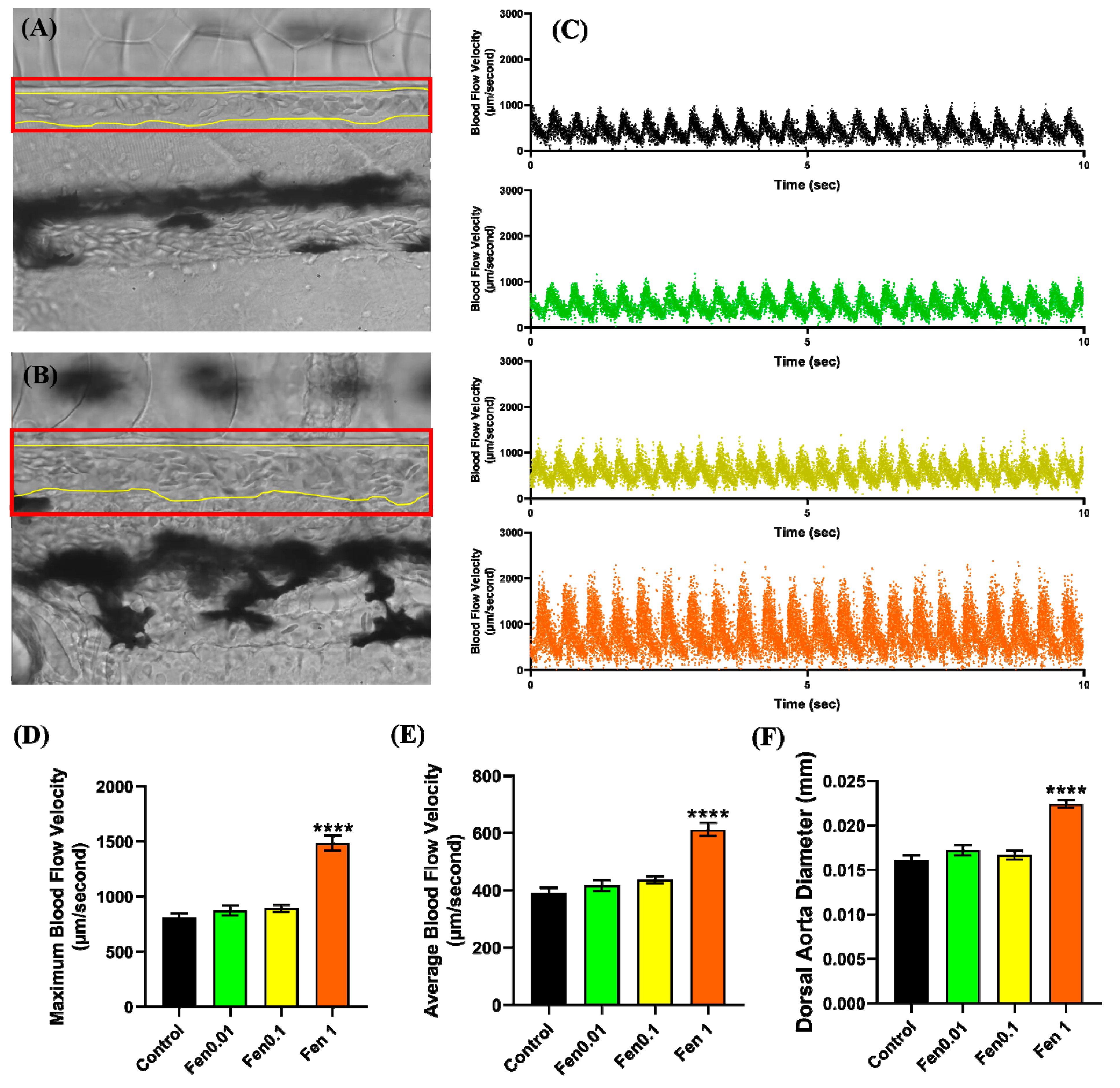 Biology 12 01214 g003 Biology 12 01214 g003