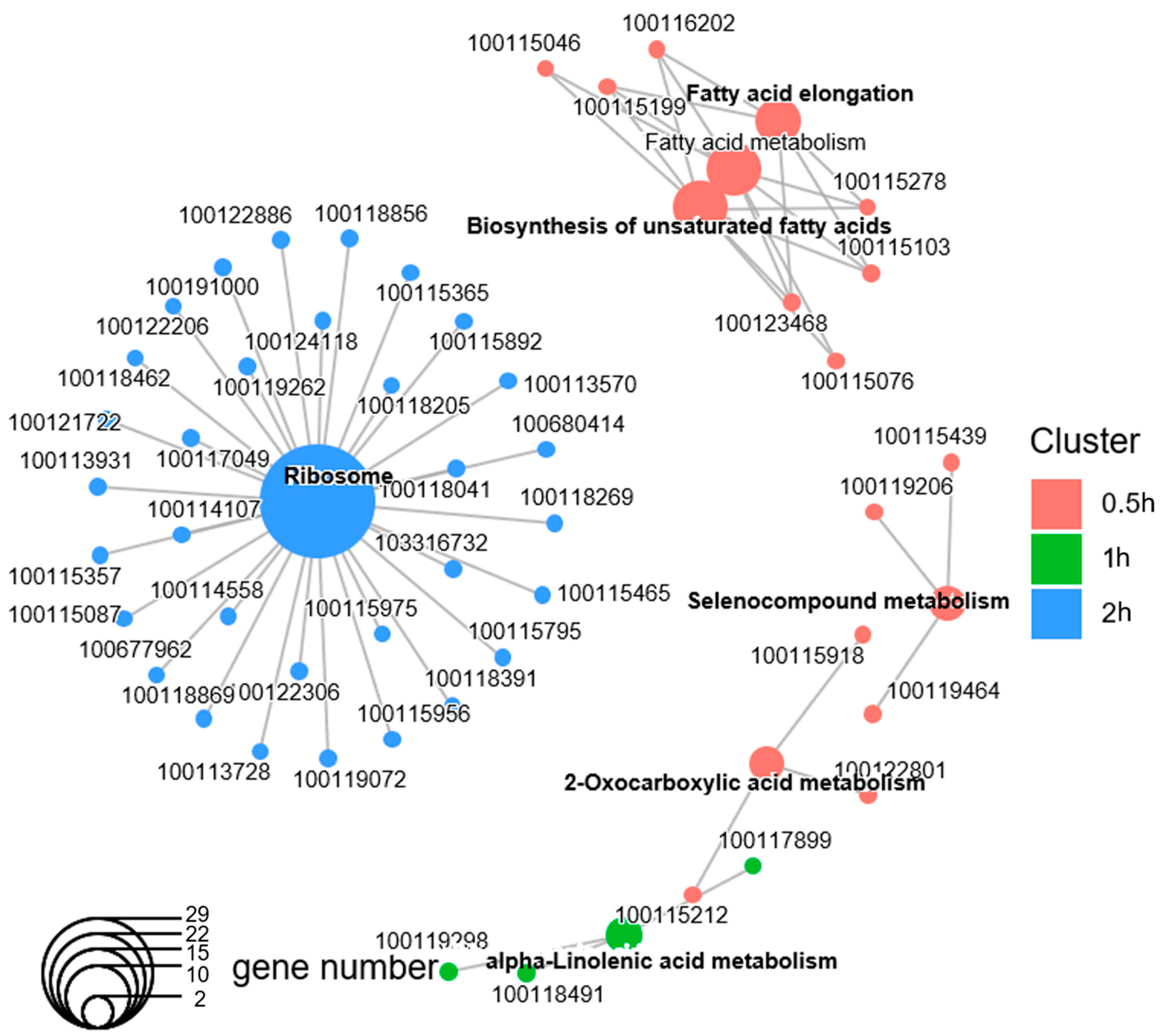 Biology 12 01215 g004 Biology 12 01215 g004