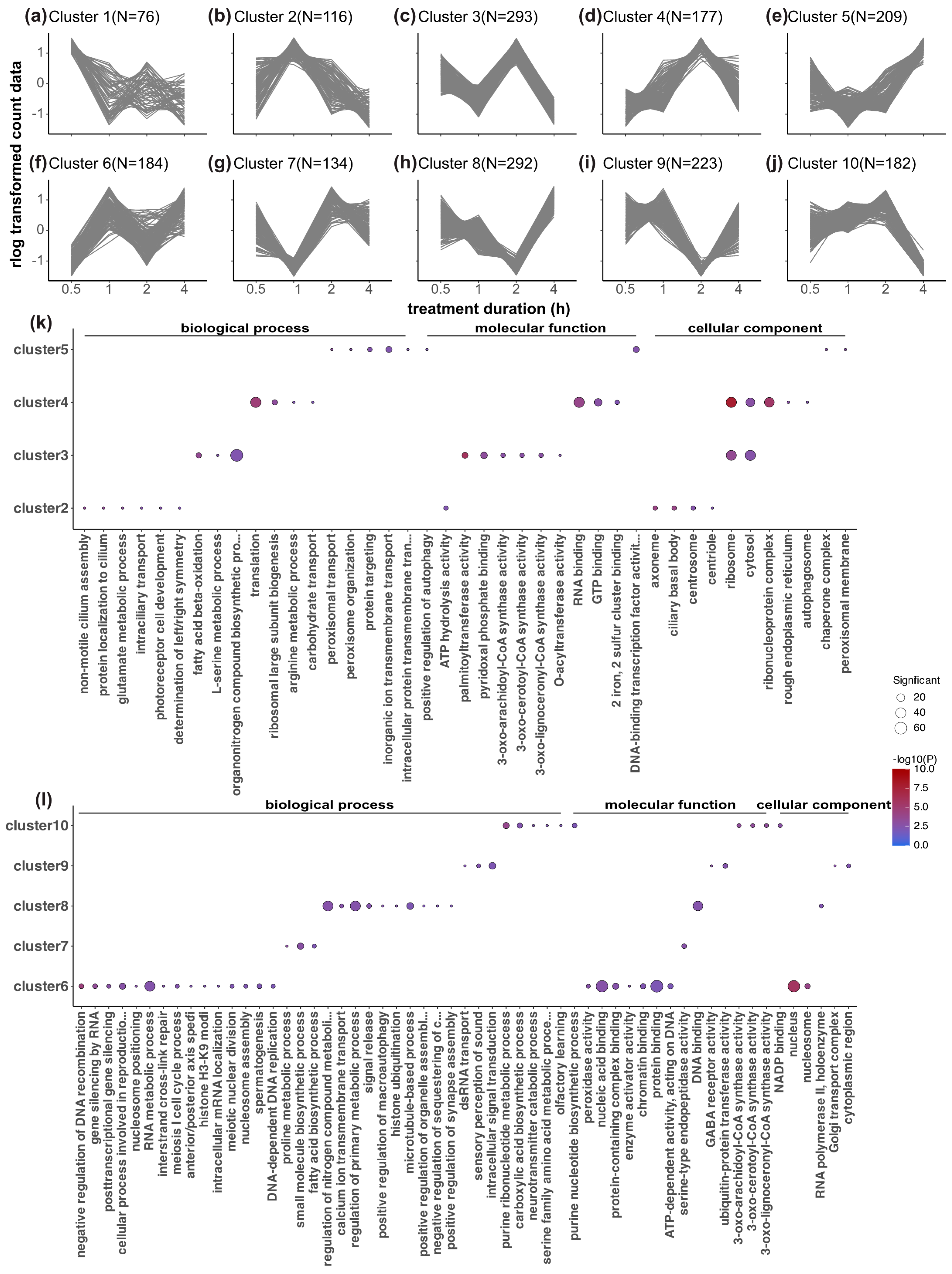 Biology 12 01215 g005 Biology 12 01215 g005
