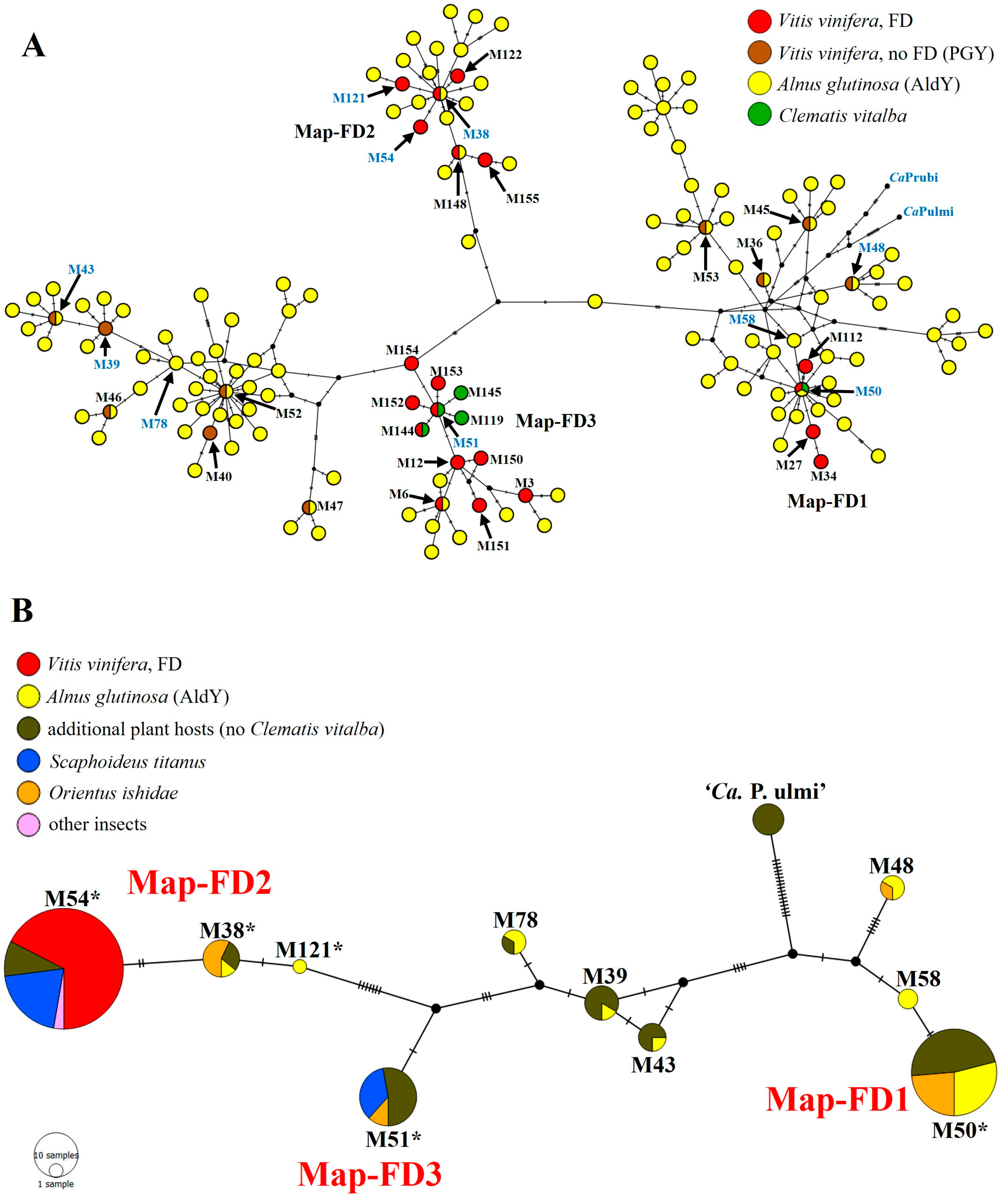 Biology 12 01216 g001 Biology 12 01216 g001