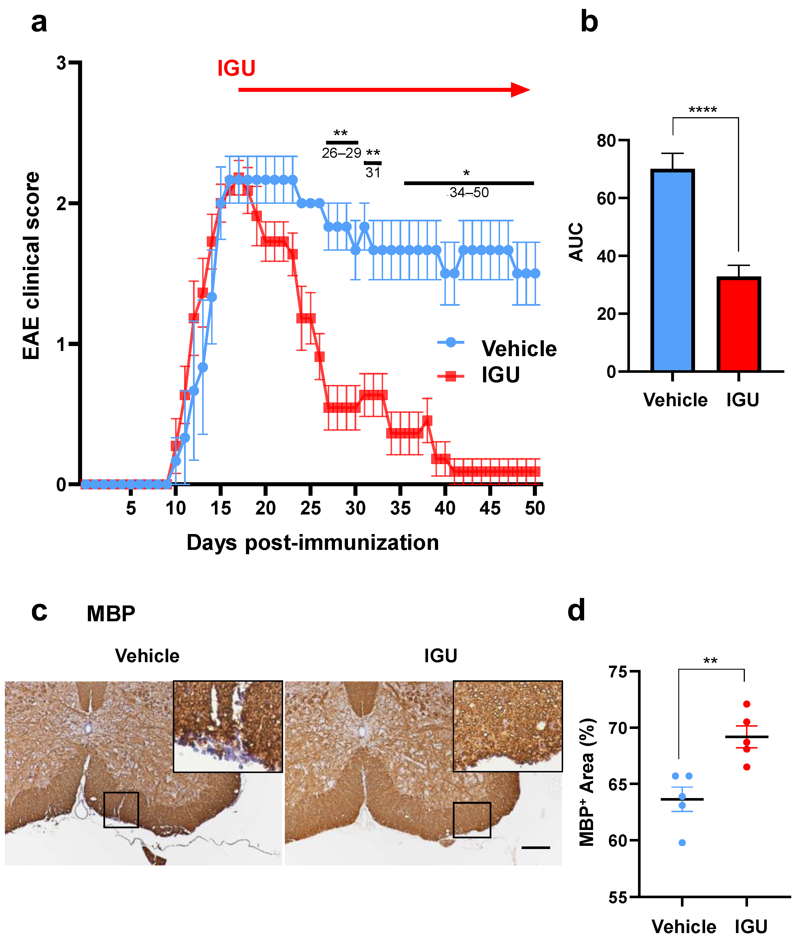 Biology 12 01217 g001