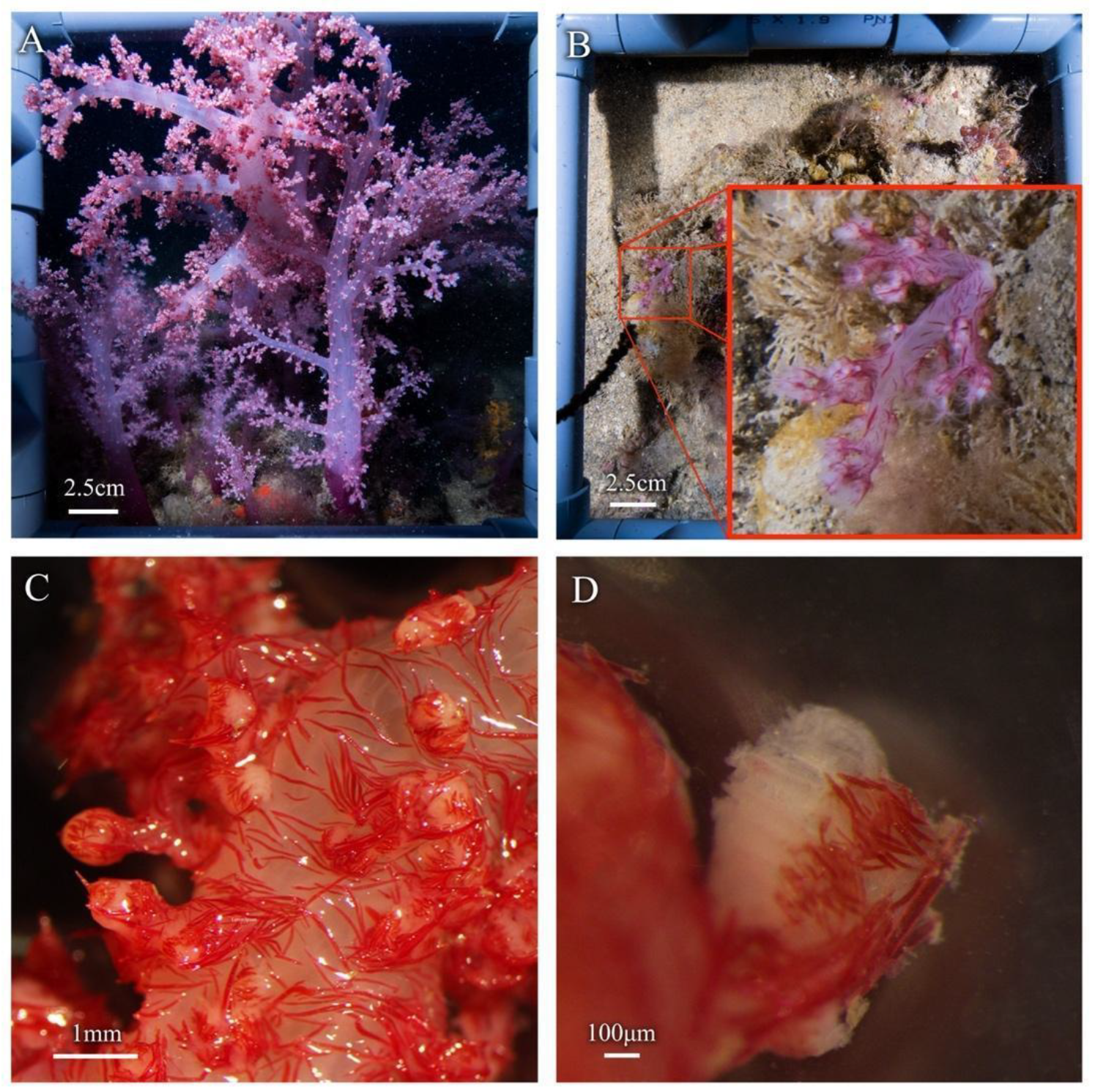 Biology 12 01220 g002 Biology 12 01220 g002