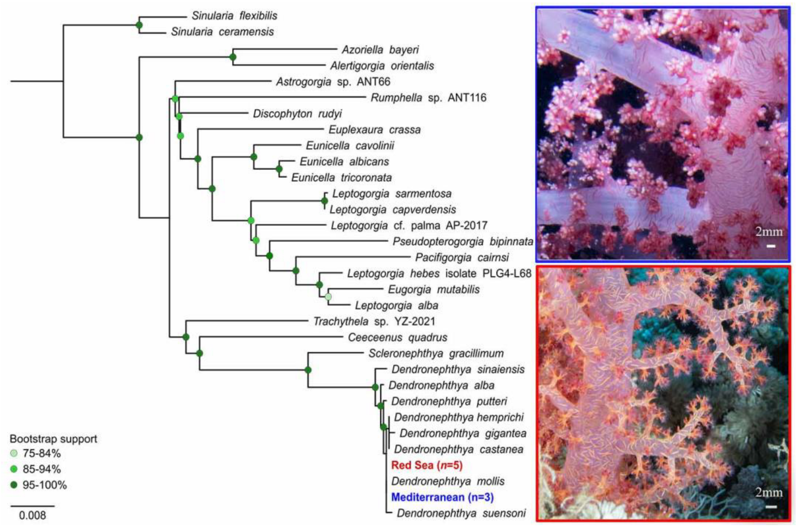 Biology 12 01220 g003 Biology 12 01220 g003