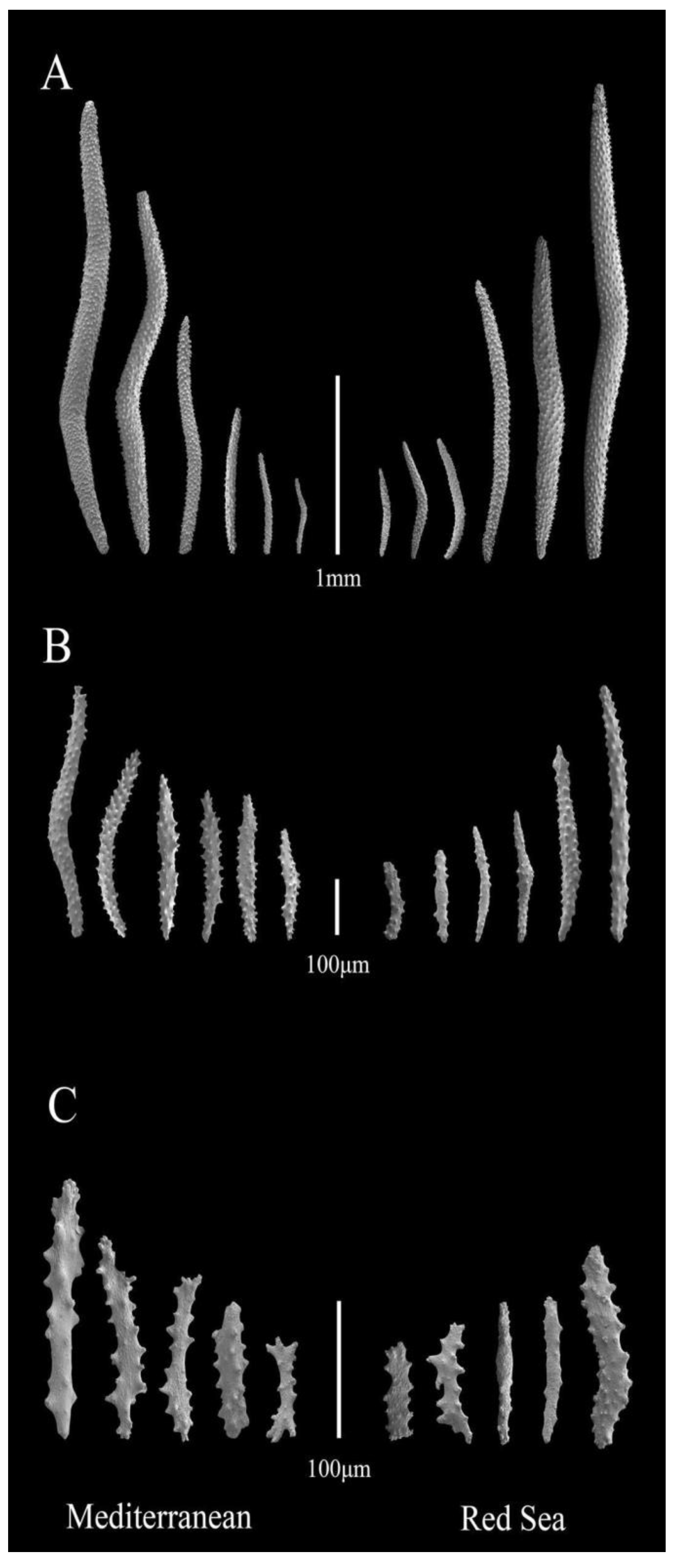 Biology 12 01220 g004 Biology 12 01220 g004