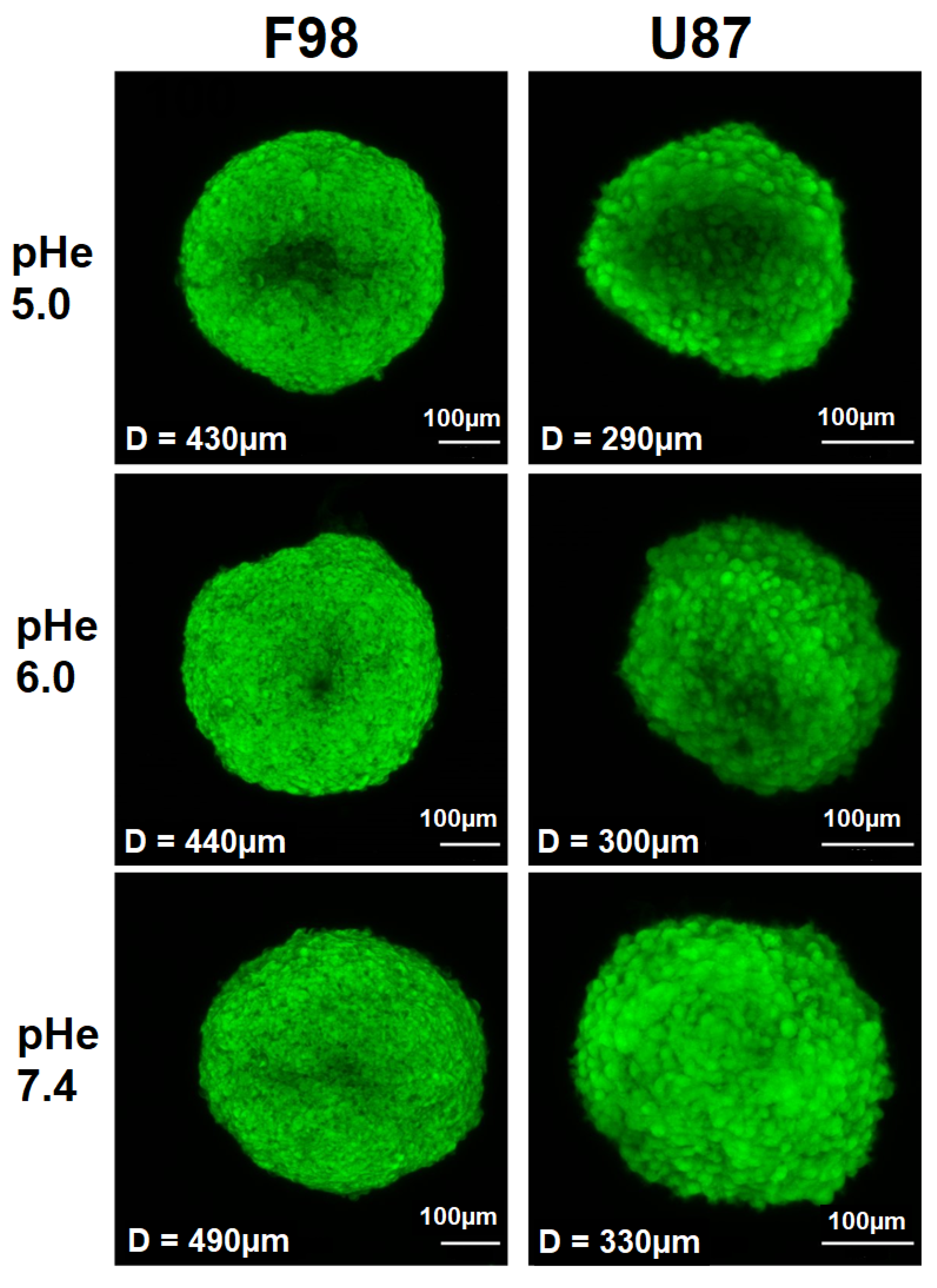 Biology 12 01221 g004 Biology 12 01221 g004