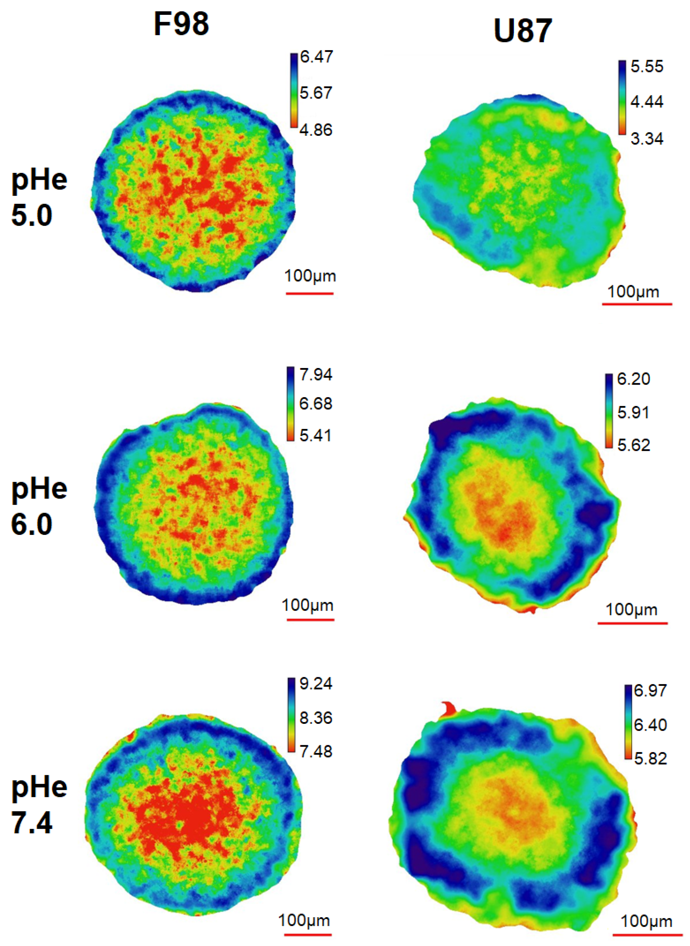 Biology 12 01221 g005 Biology 12 01221 g005