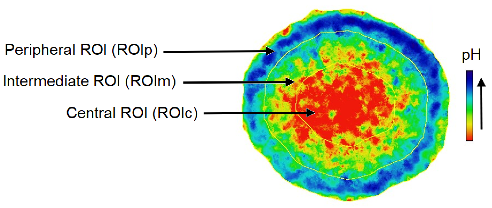 Biology 12 01221 g007 Biology 12 01221 g007
