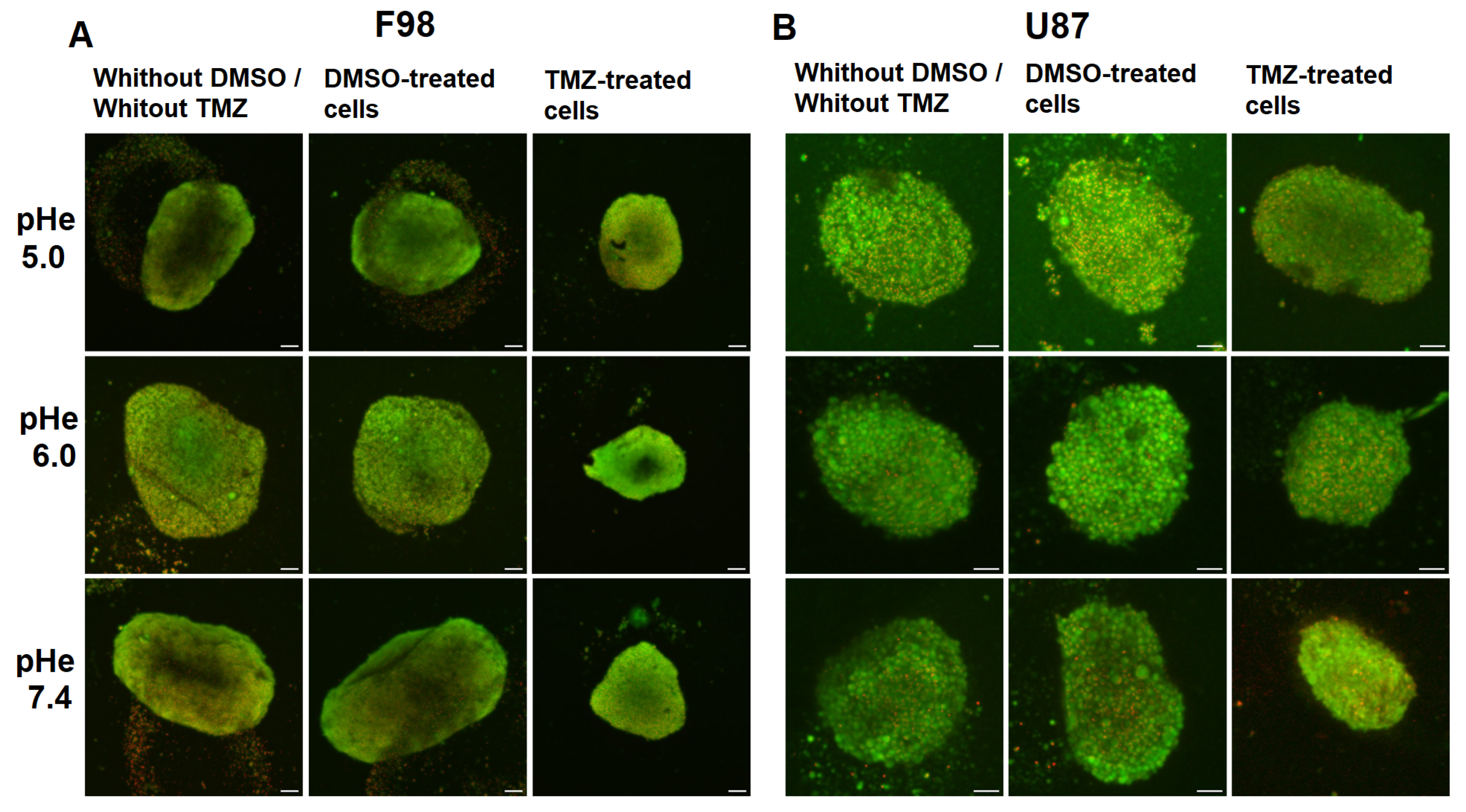 Biology 12 01221 g012 Biology 12 01221 g012