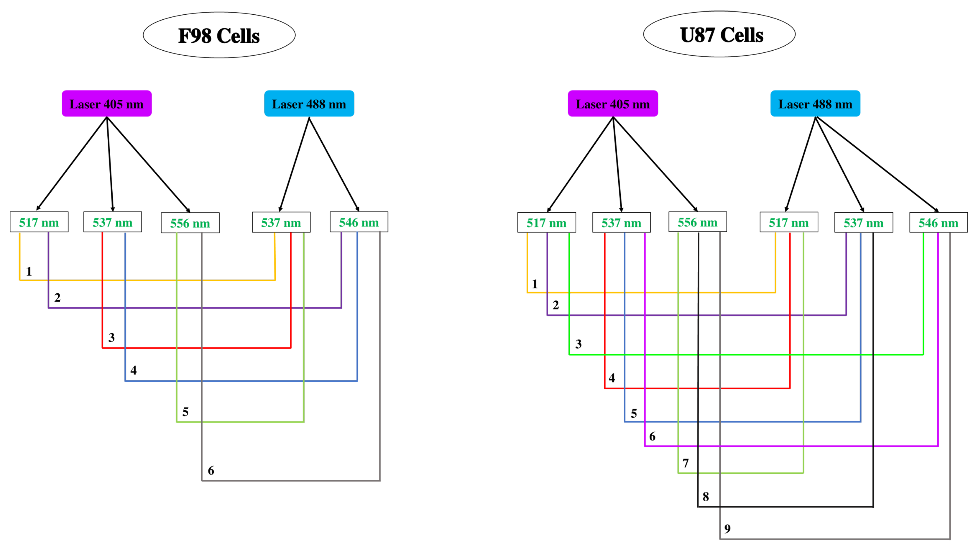 Biology 12 01221 g0a2 Biology 12 01221 g0a2