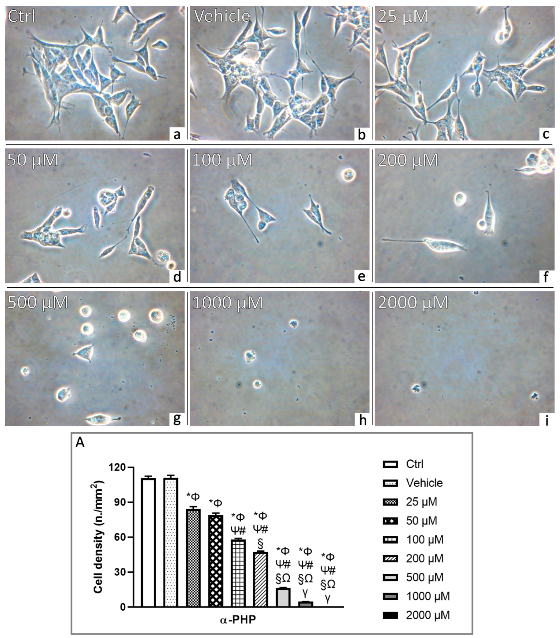 Biology 12 01225 g002 Biology 12 01225 g002