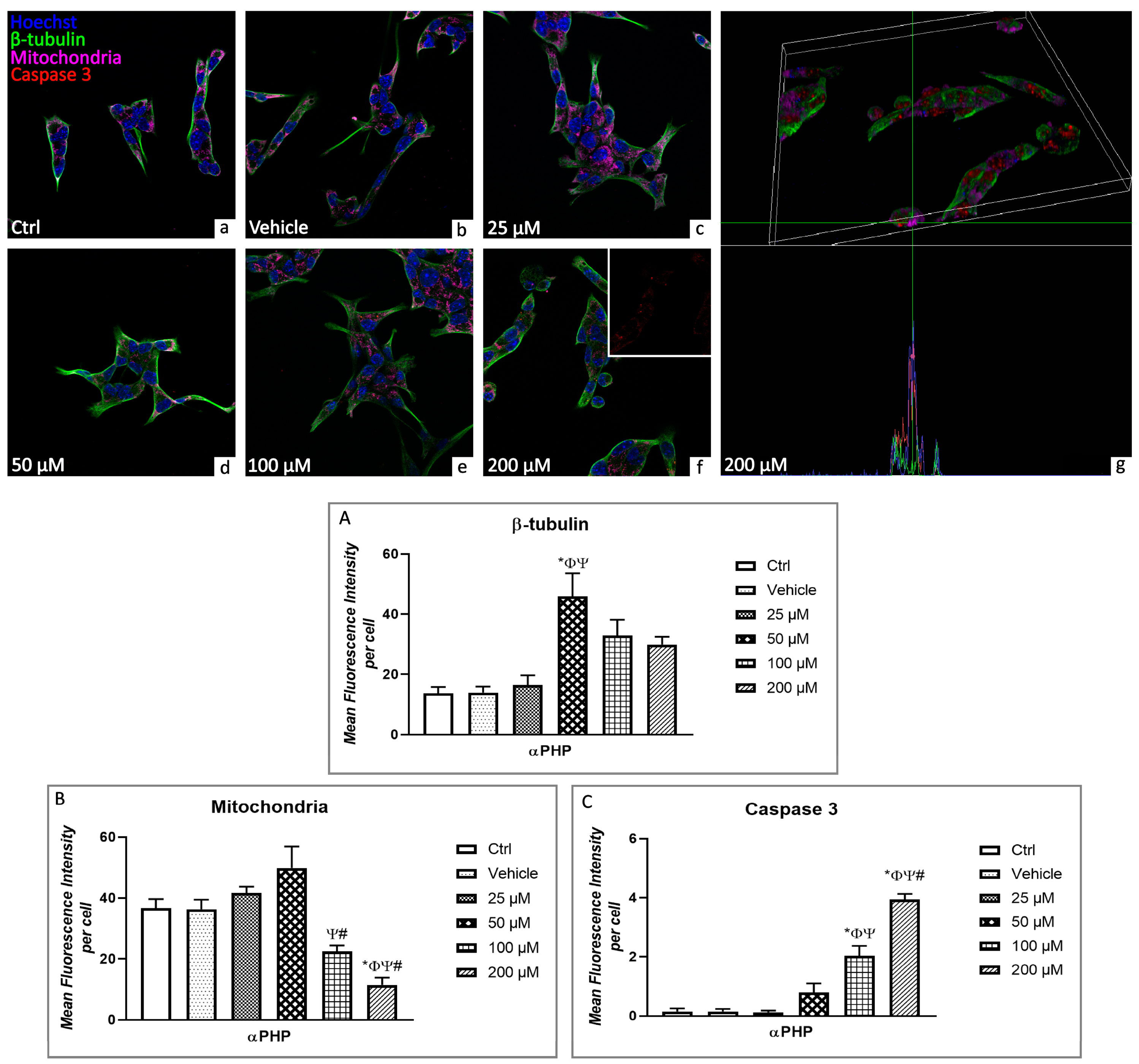 Biology 12 01225 g005 Biology 12 01225 g005
