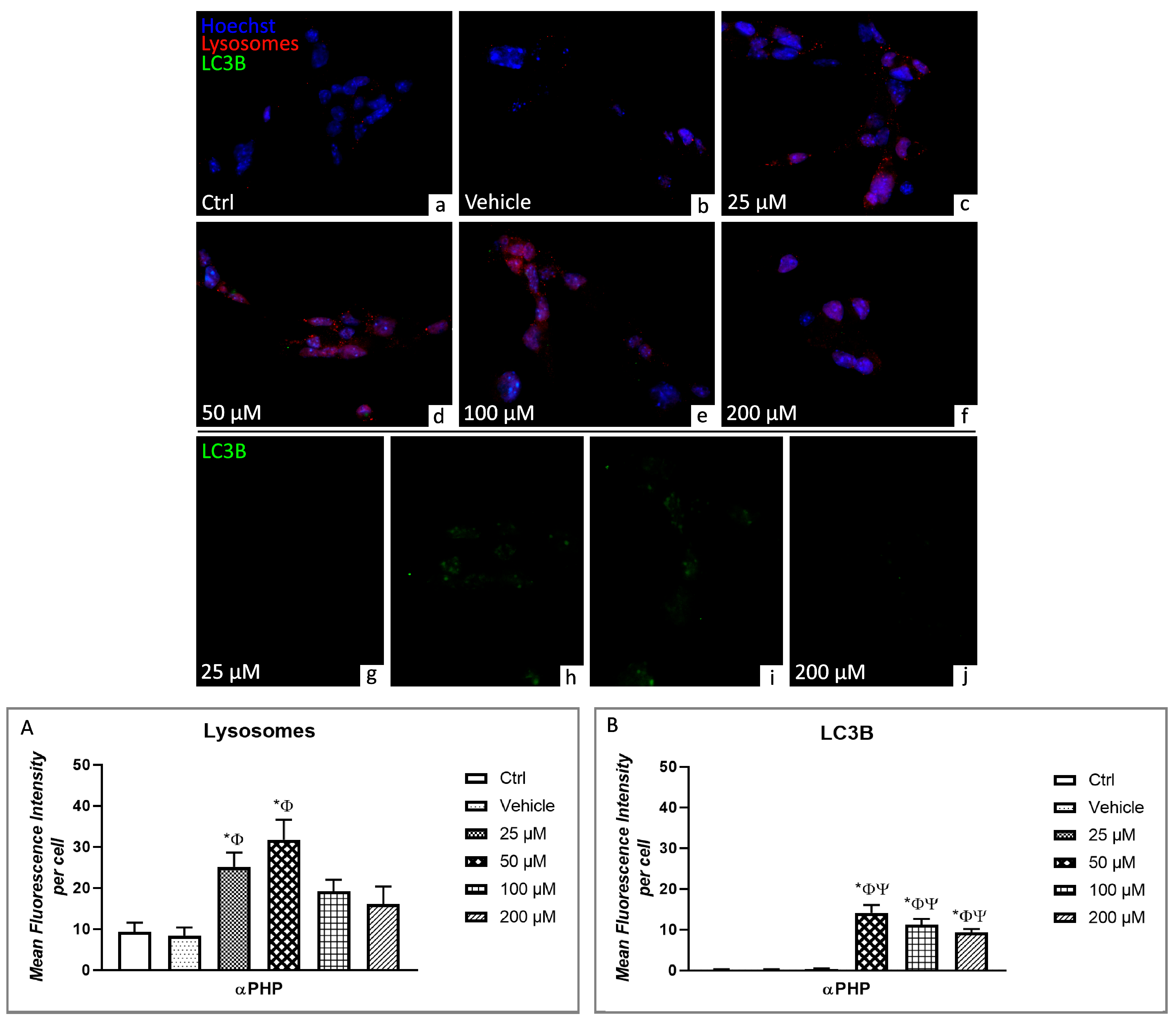 Biology 12 01225 g006 Biology 12 01225 g006