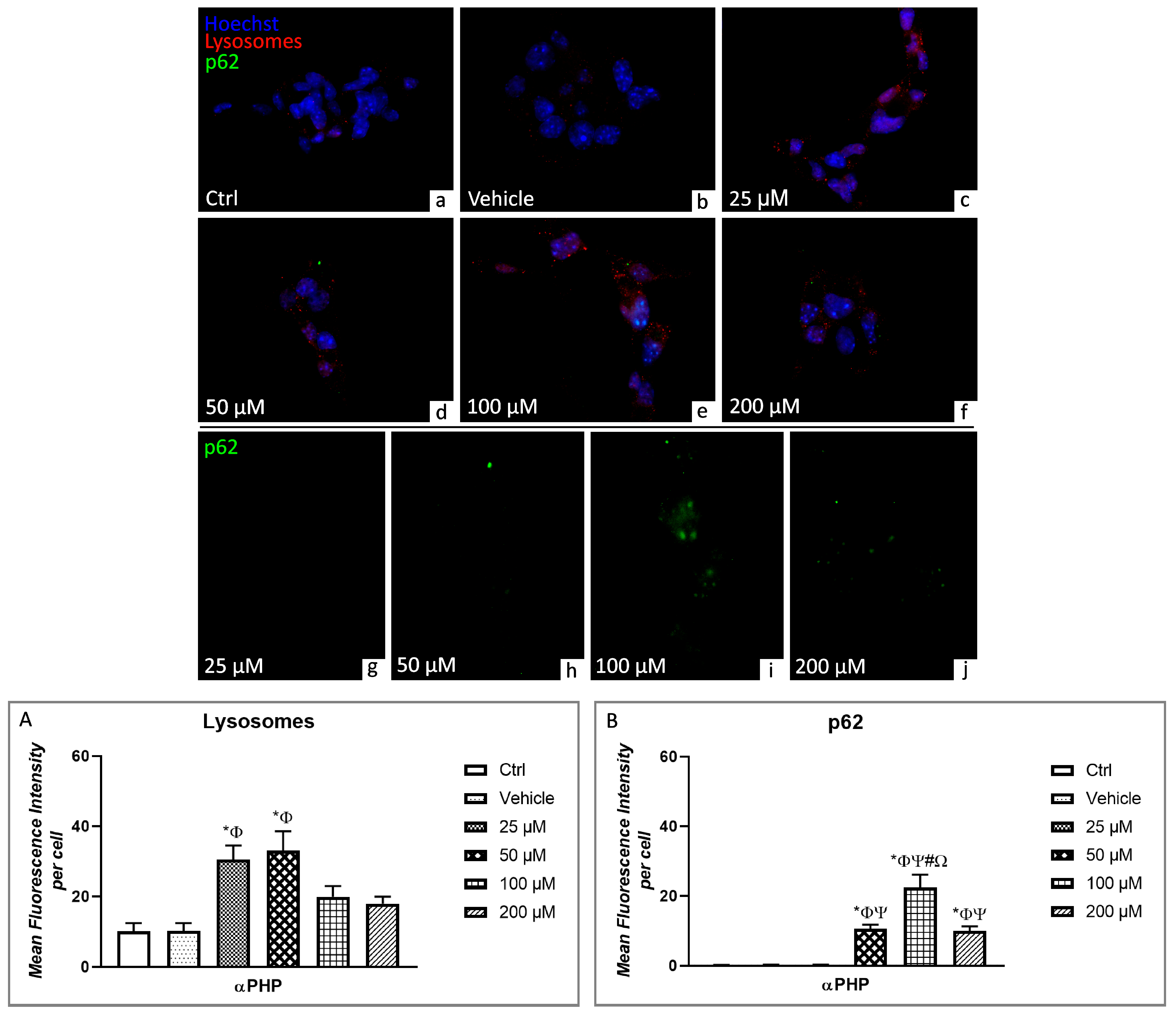 Biology 12 01225 g007 Biology 12 01225 g007