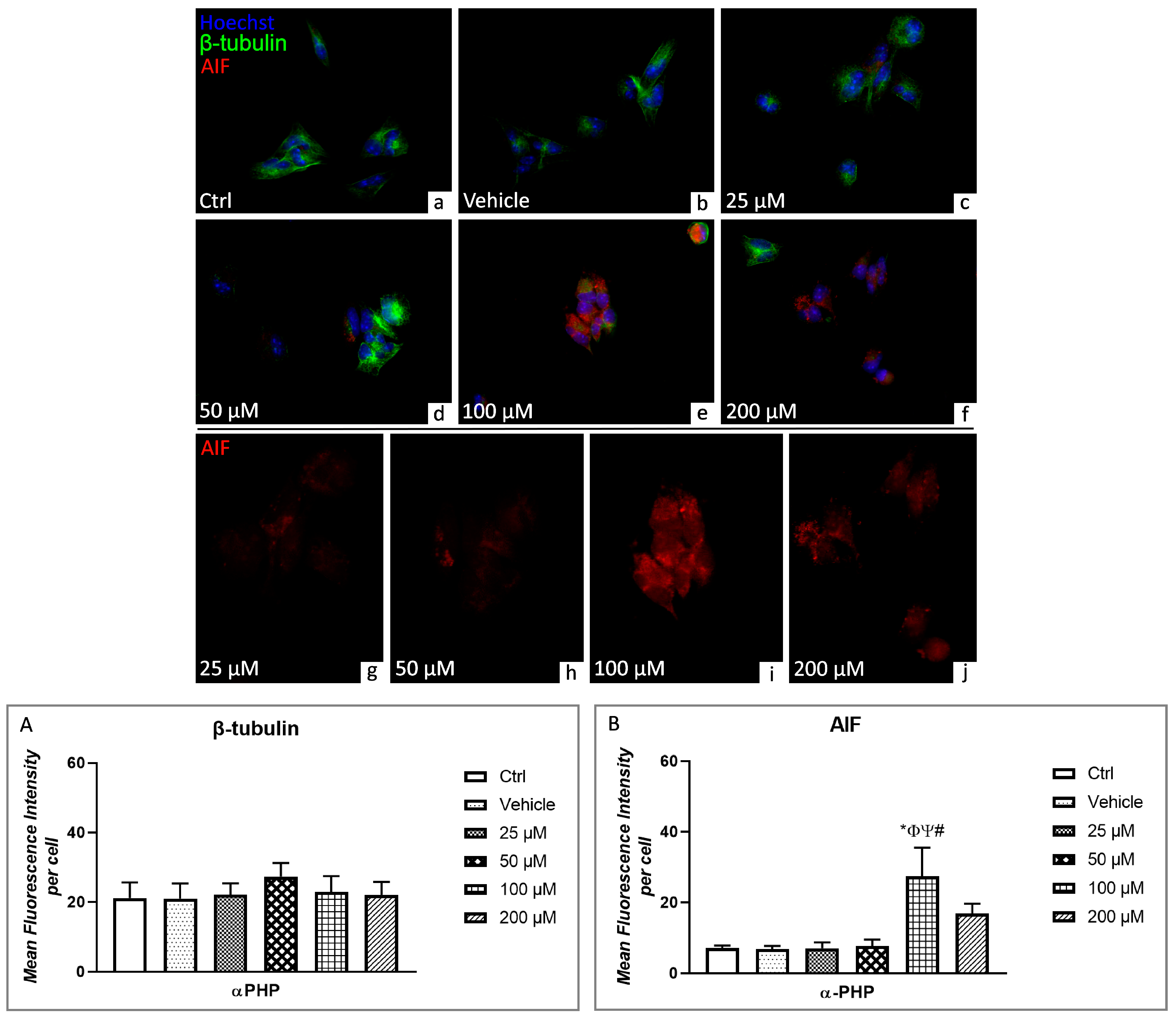 Biology 12 01225 g008 Biology 12 01225 g008
