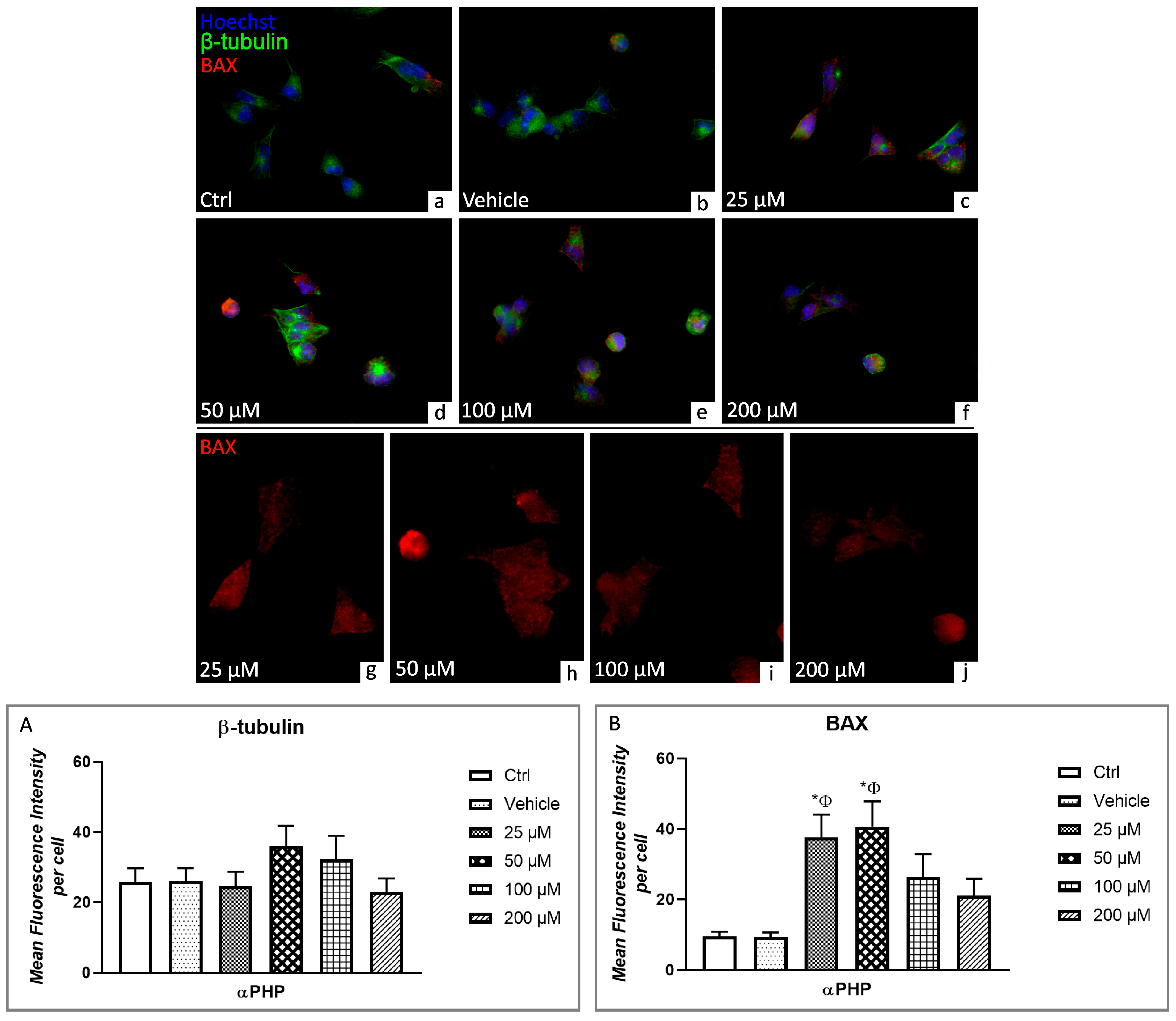 Biology 12 01225 g009 Biology 12 01225 g009