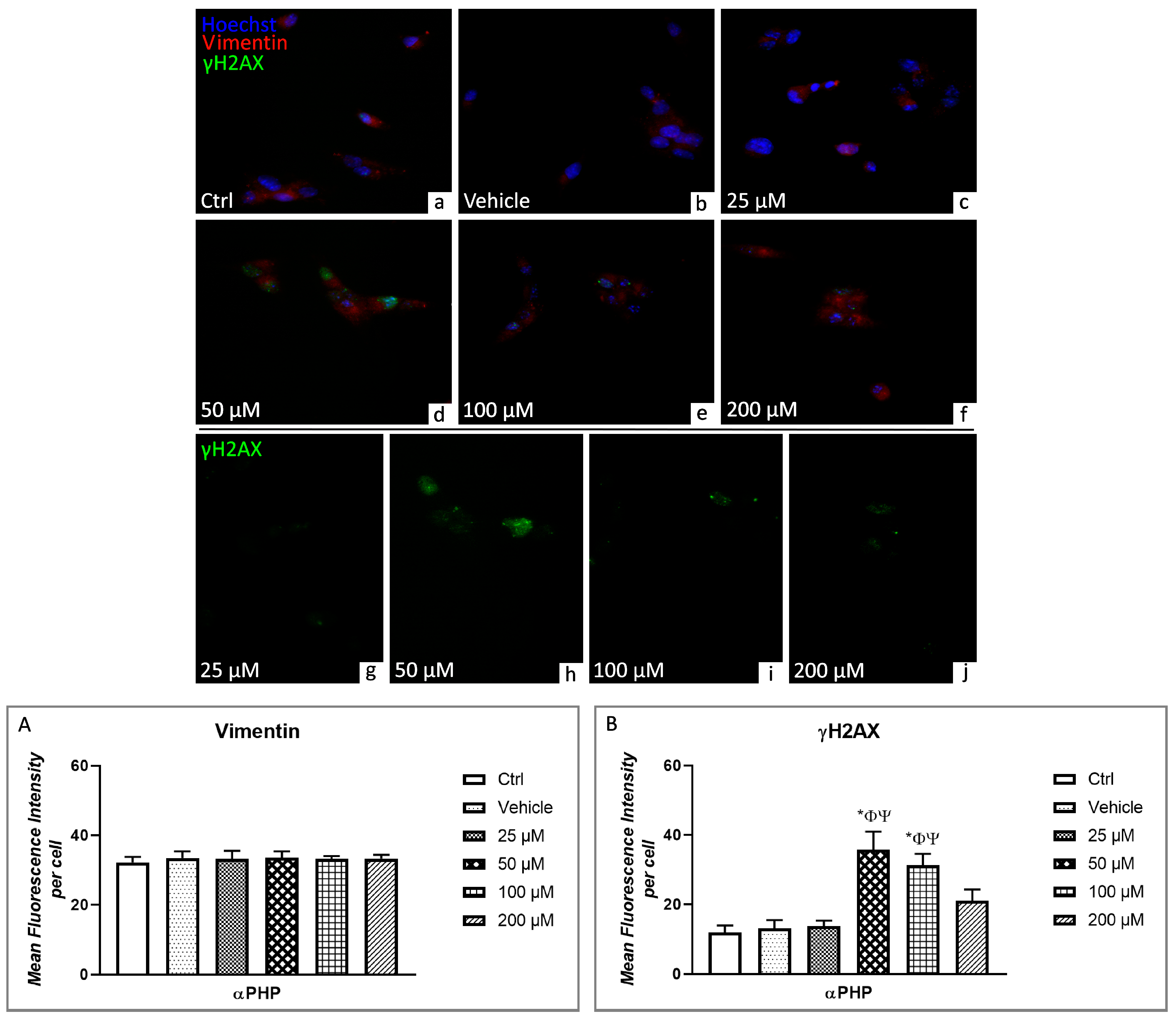 Biology 12 01225 g010 Biology 12 01225 g010