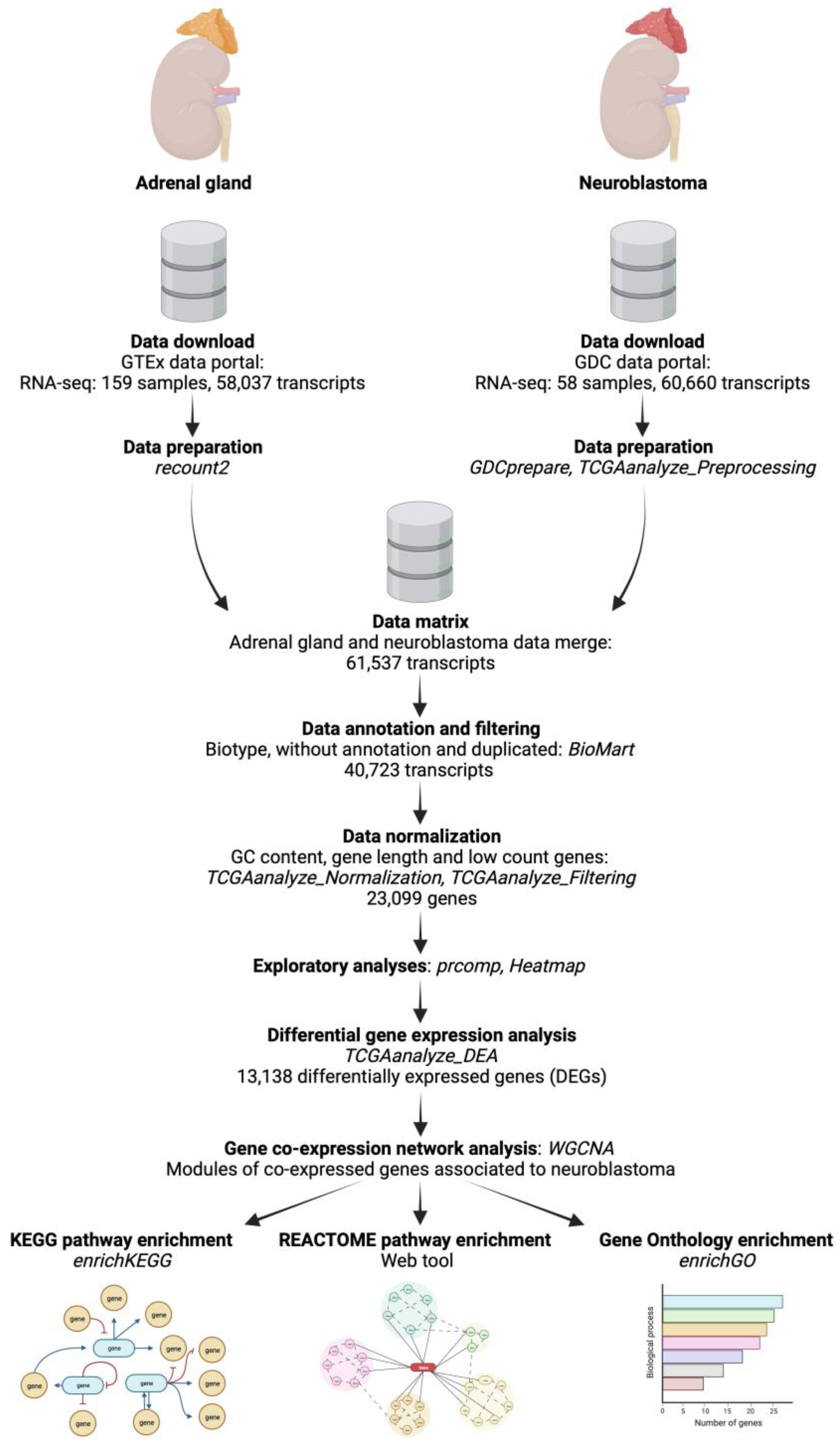 Biology 12 01230 g001