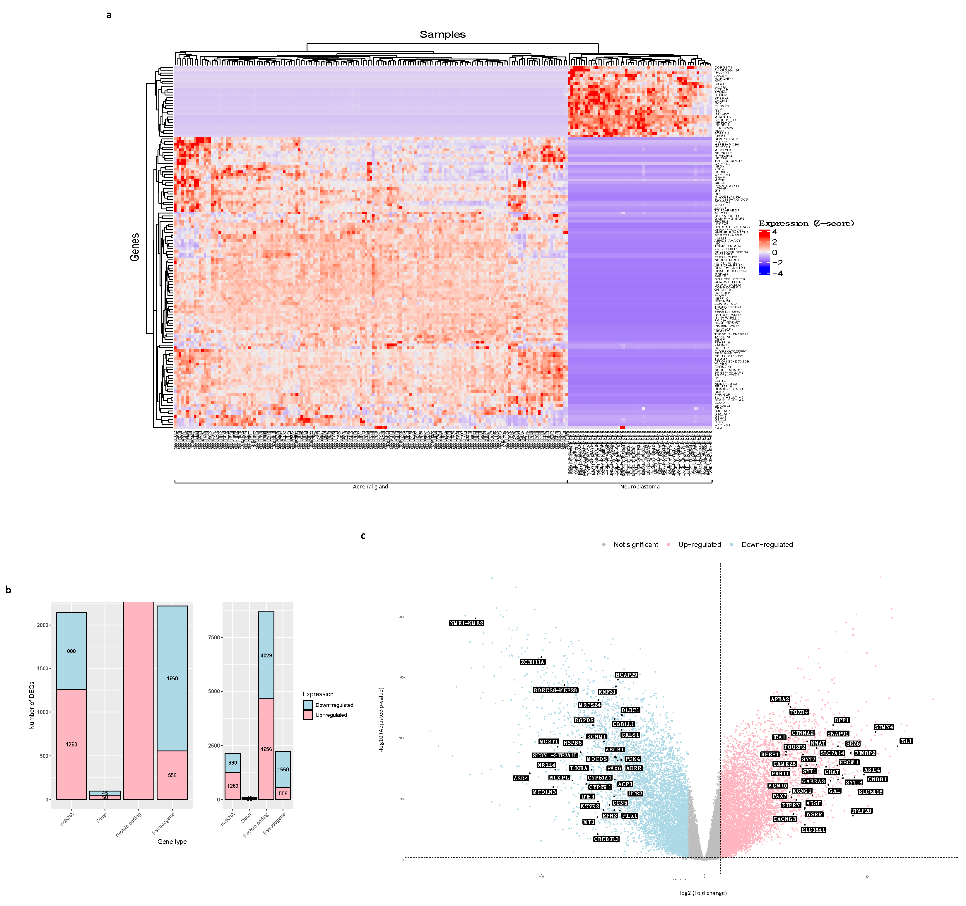 Biology 12 01230 g003