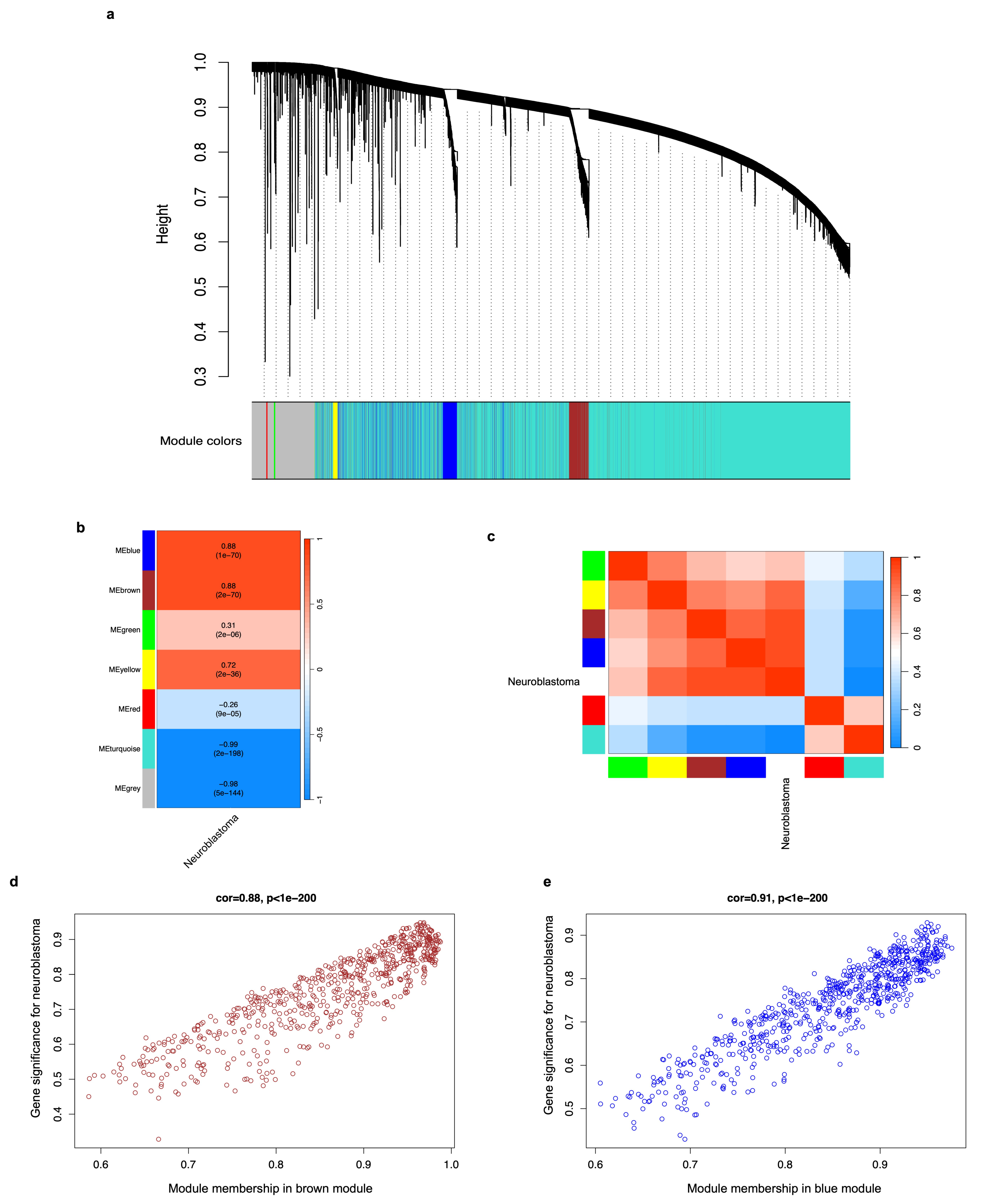 Biology 12 01230 g004