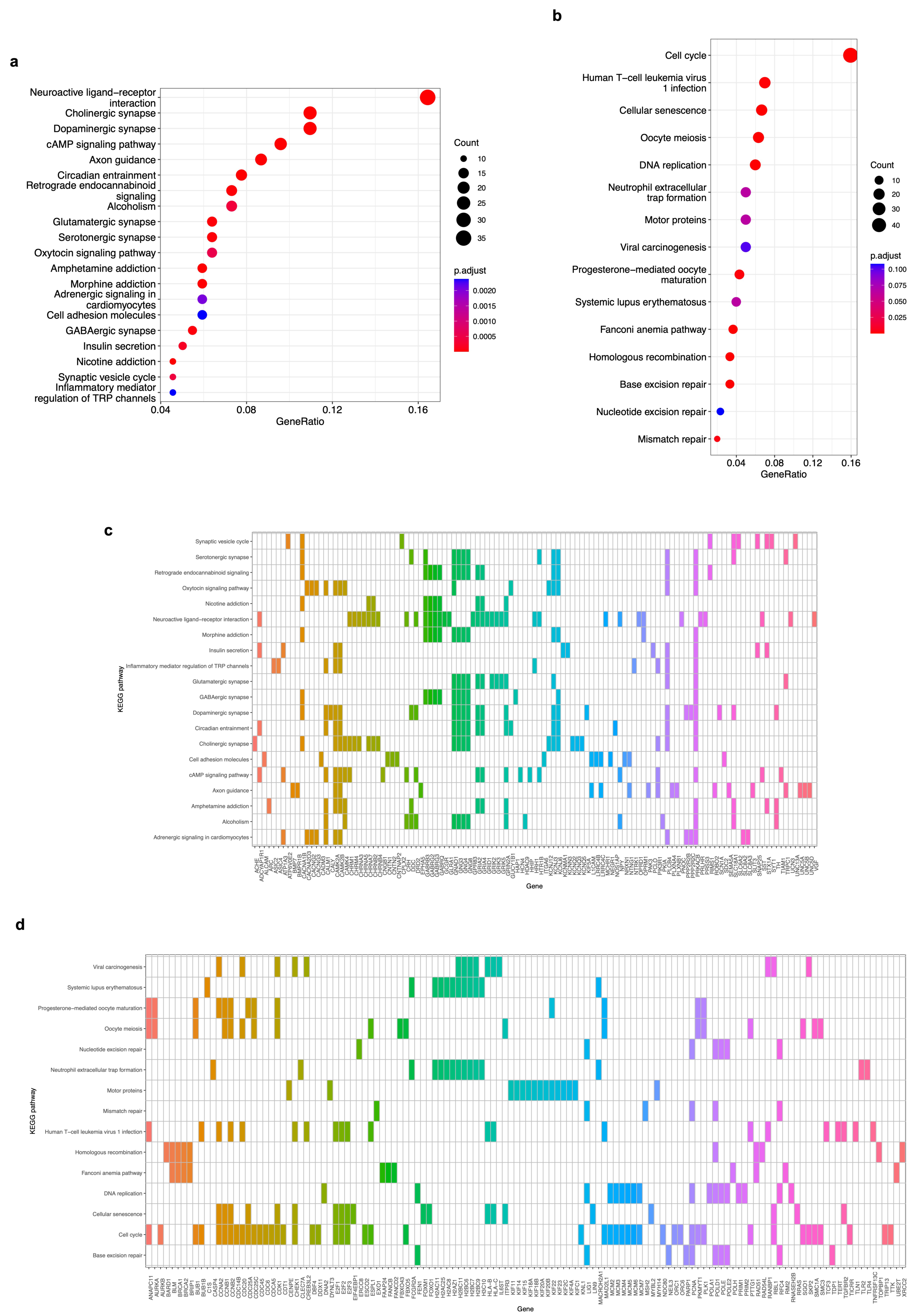 Biology 12 01230 g005
