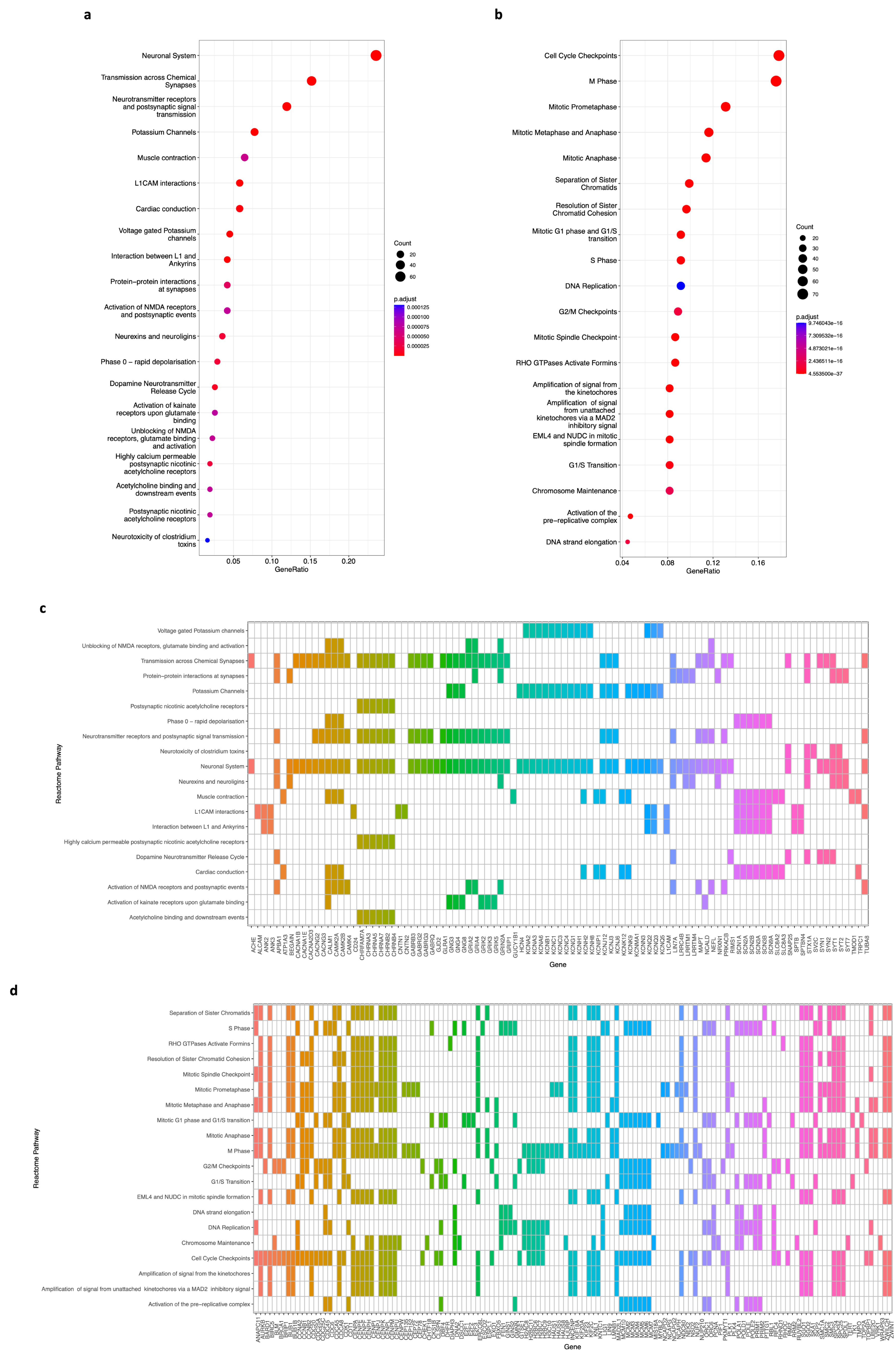 Biology 12 01230 g006