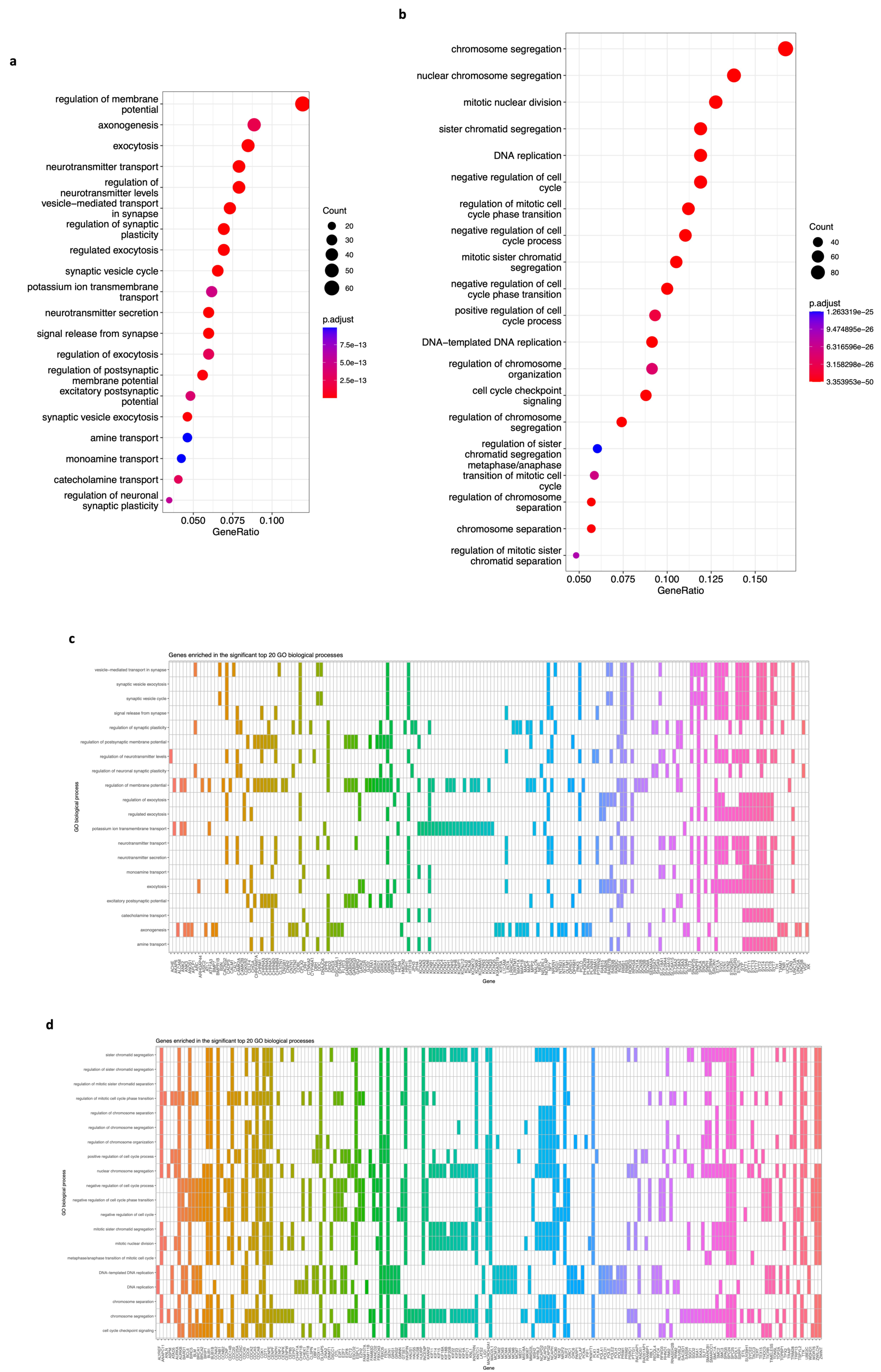 Biology 12 01230 g007