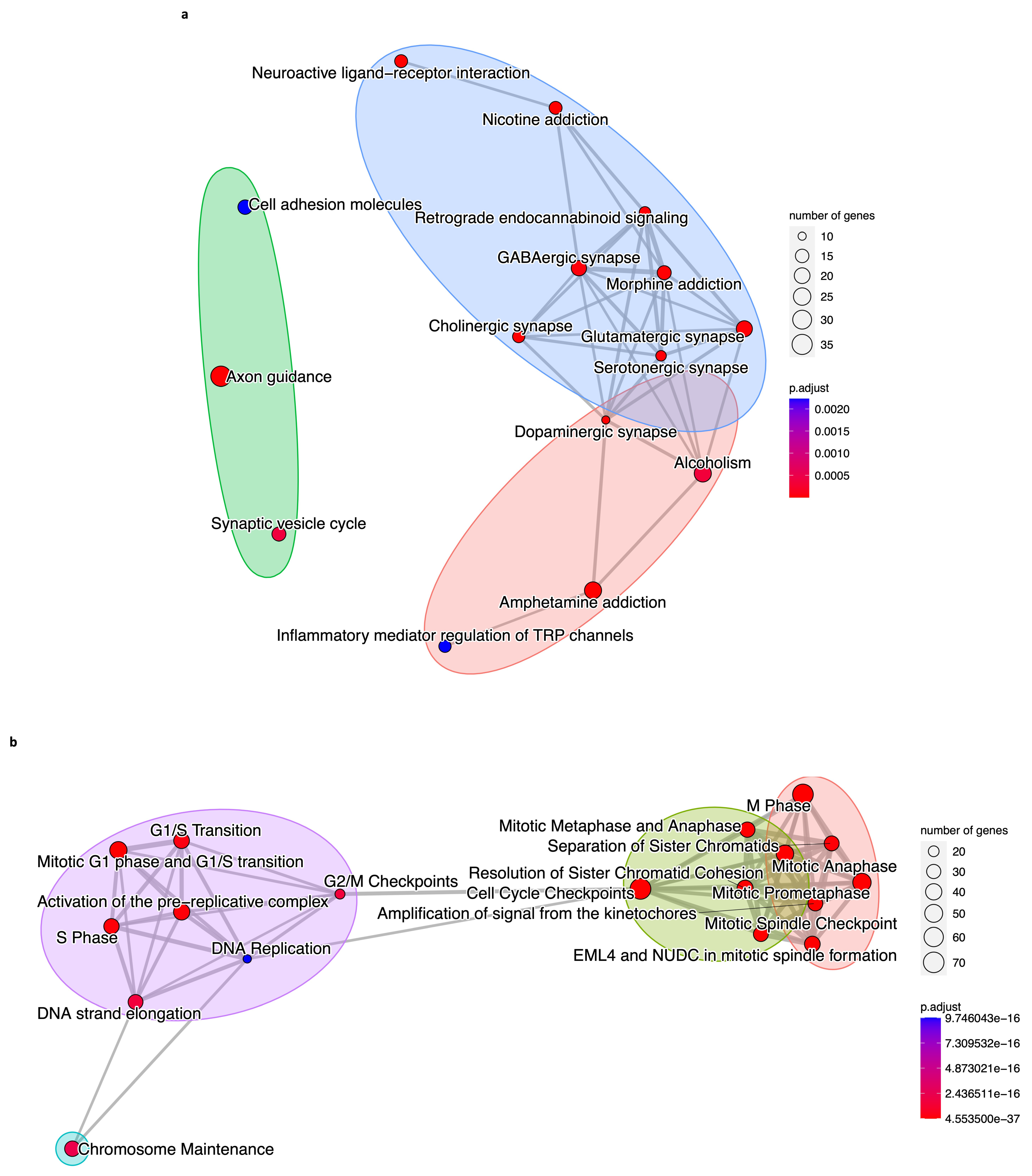 Biology 12 01230 g008