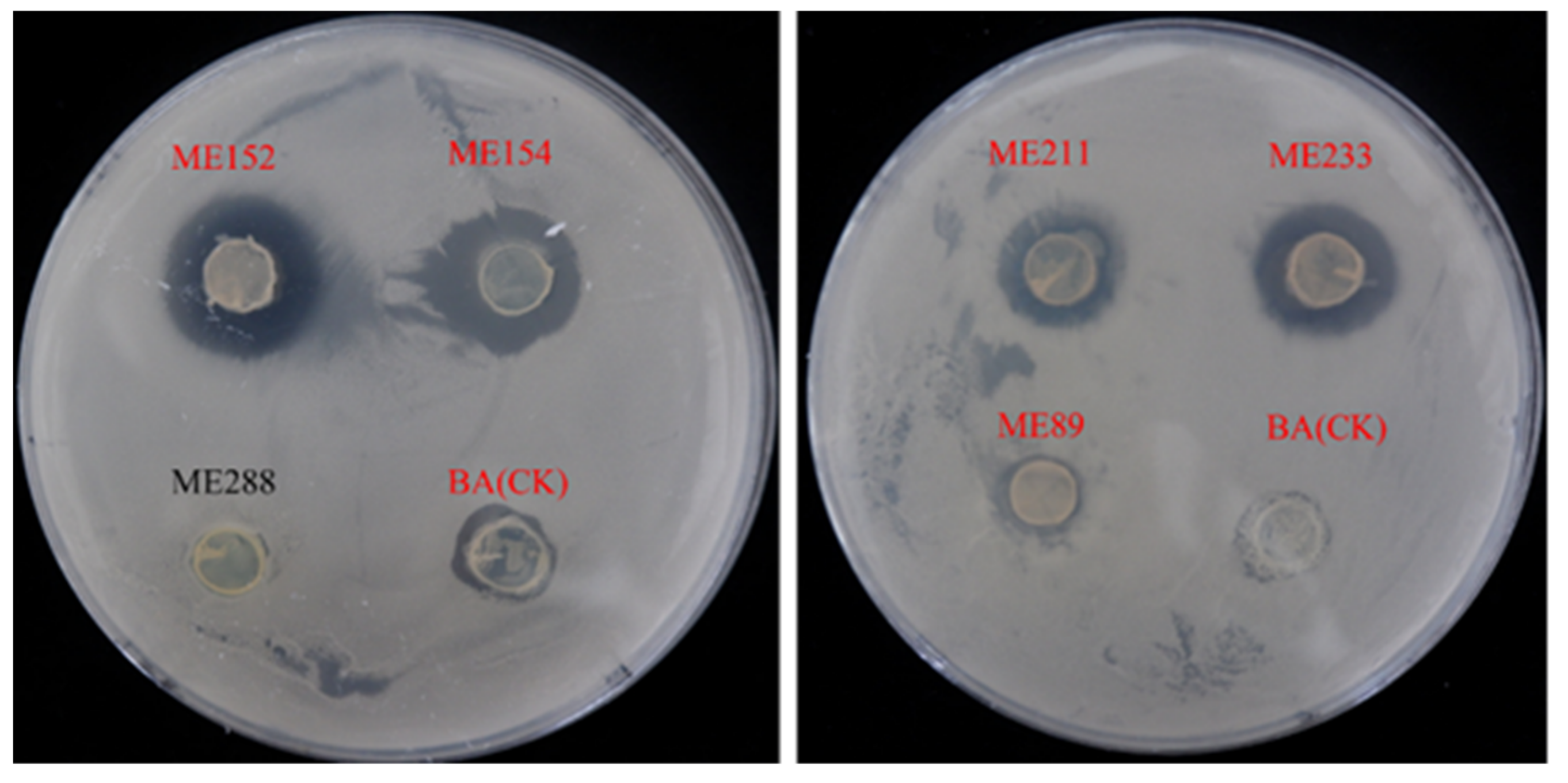 Biology 12 01231 g001