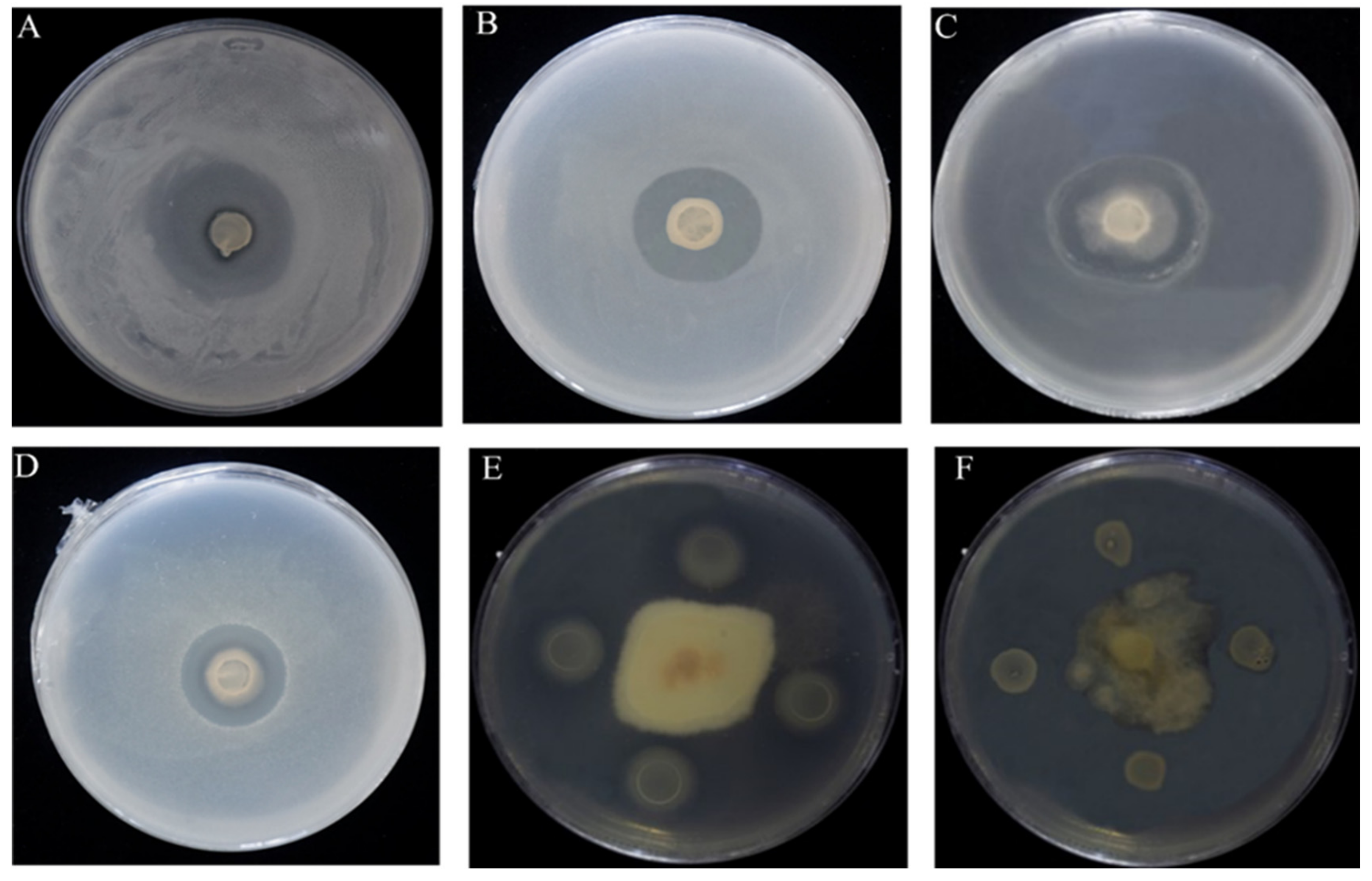 Biology 12 01231 g002