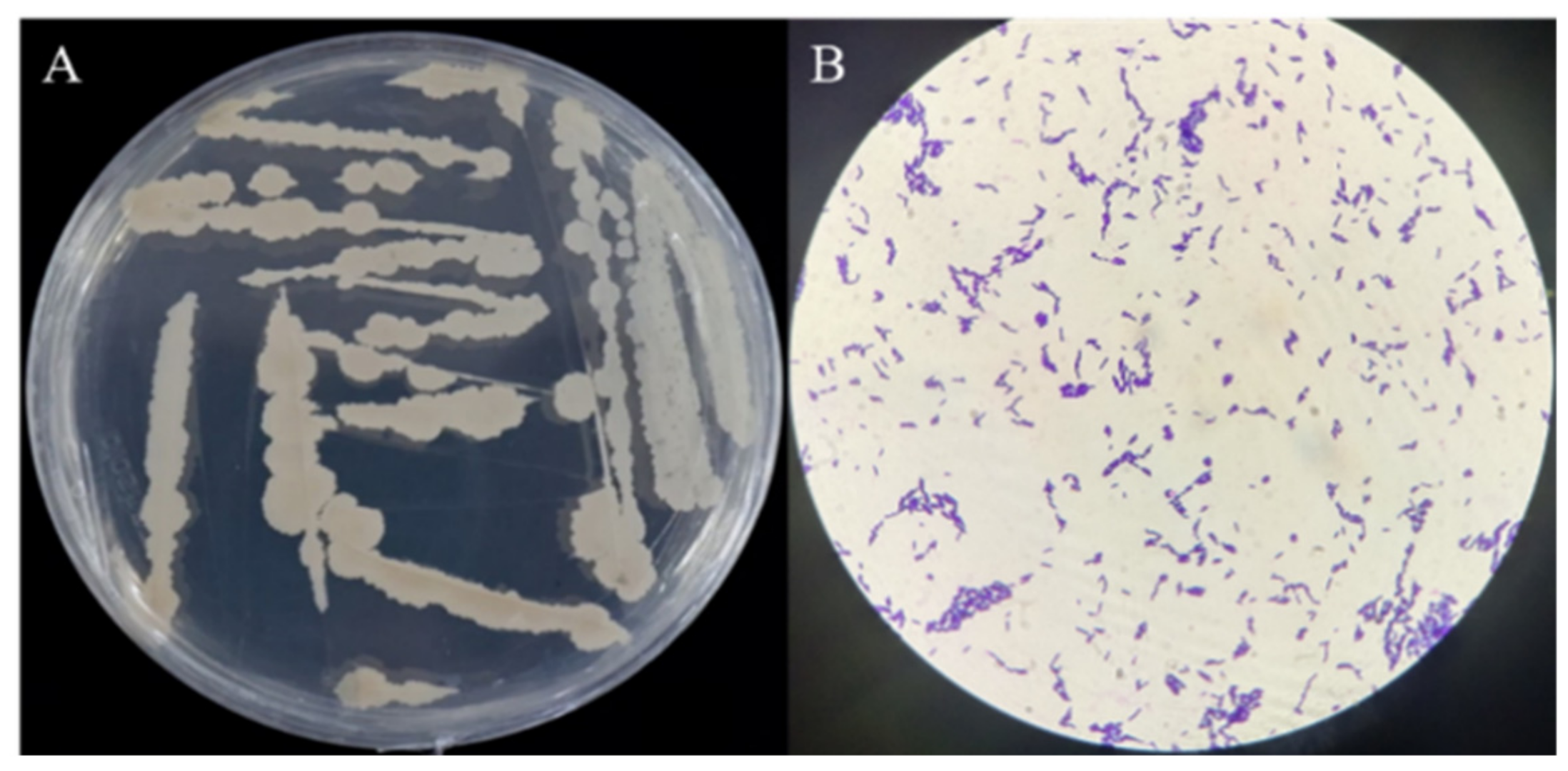 Biology 12 01231 g003
