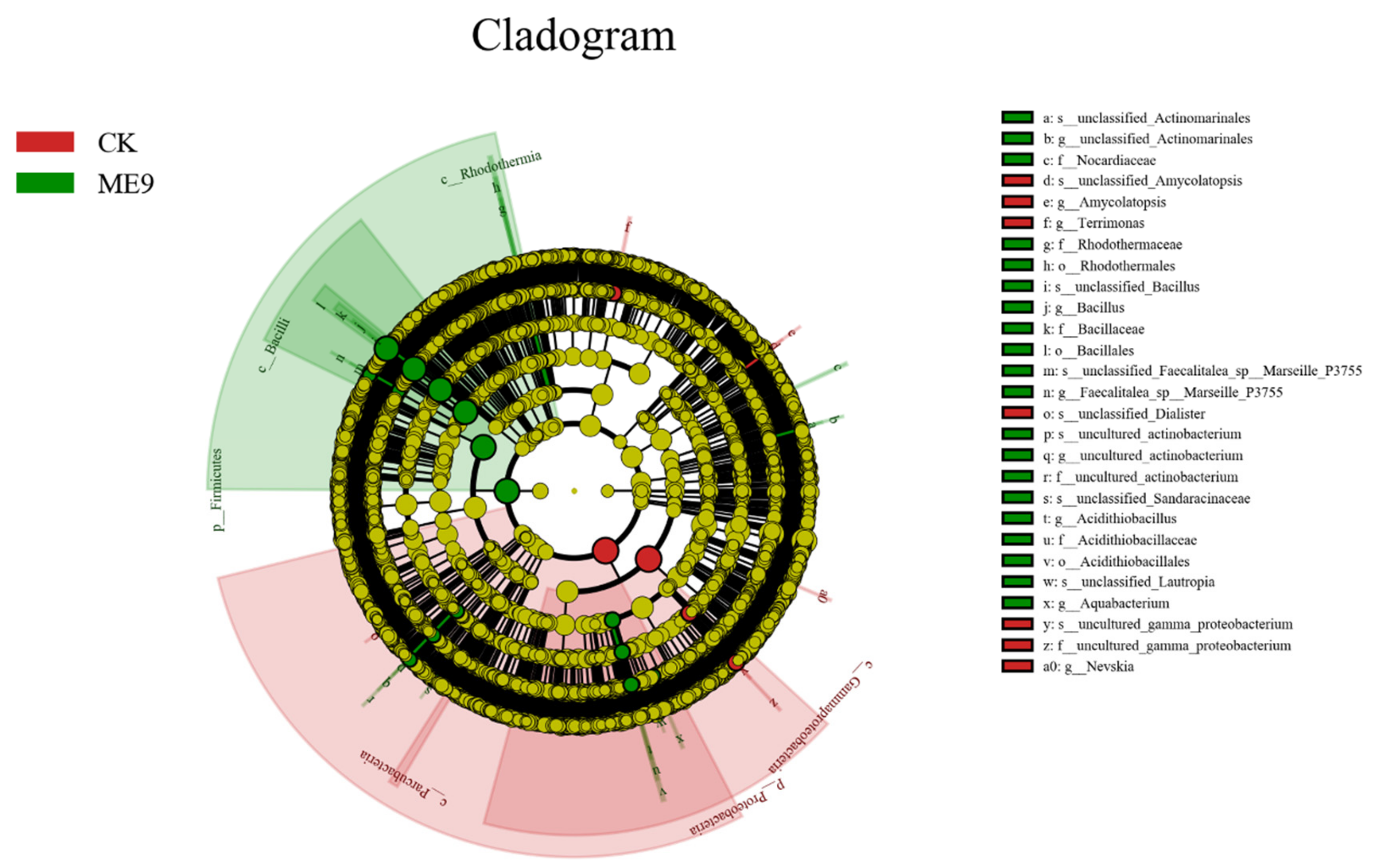Biology 12 01231 g012