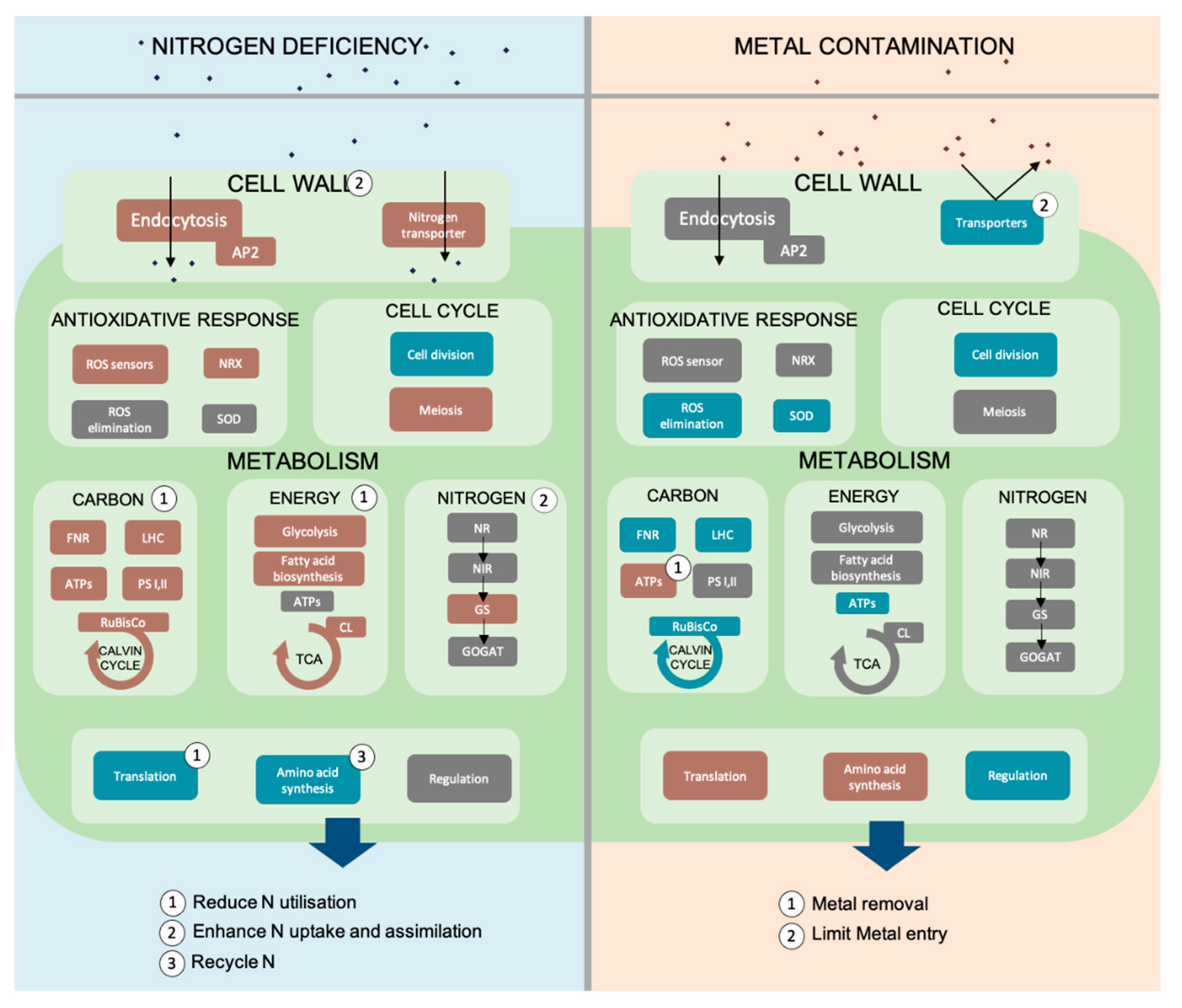 Biology 12 01234 g001