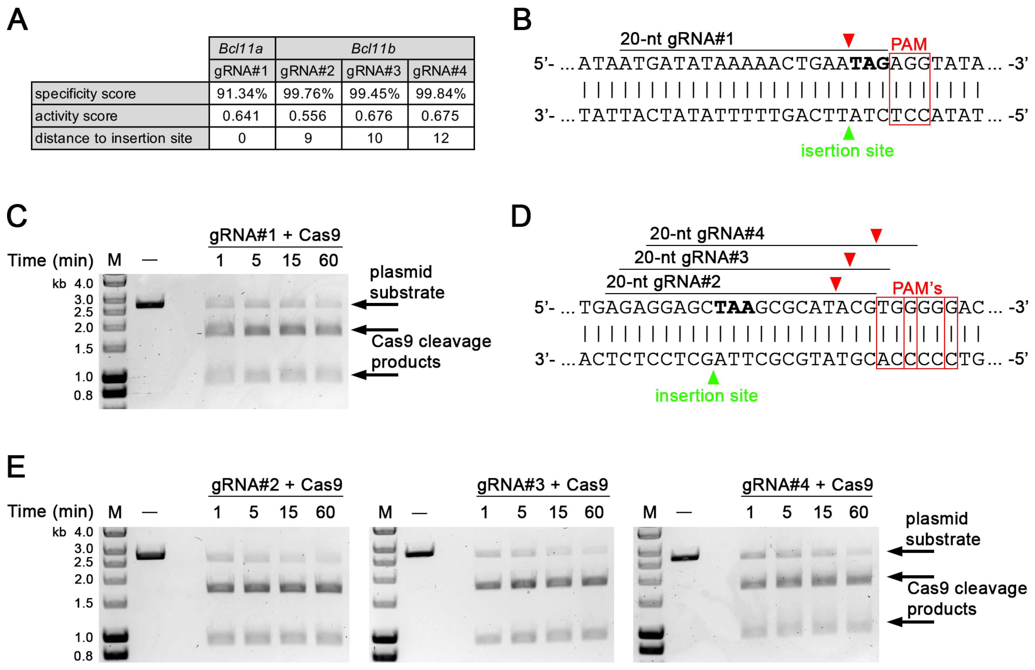 Biology 12 01236 g001