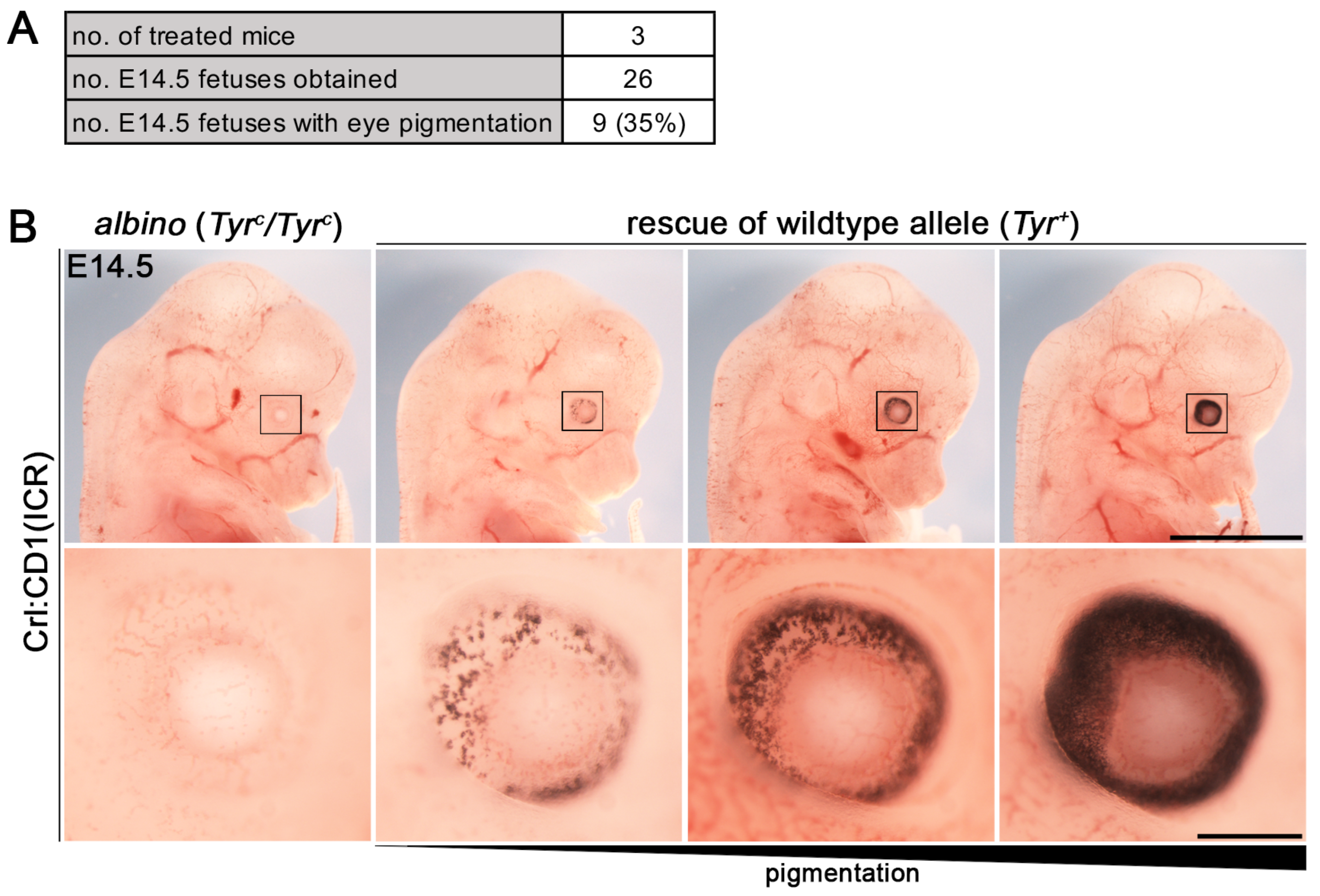 Biology 12 01236 g002