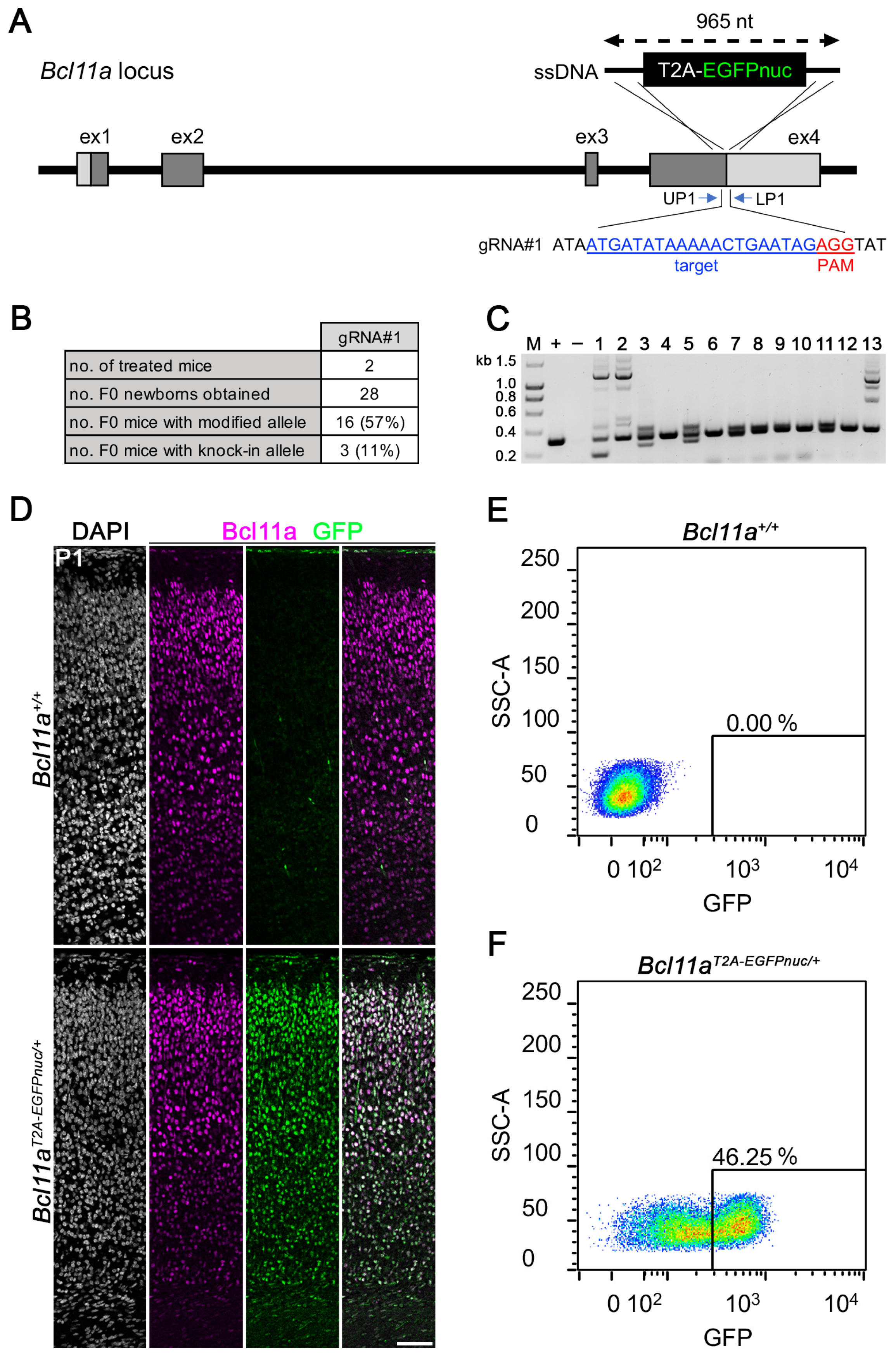 Biology 12 01236 g003