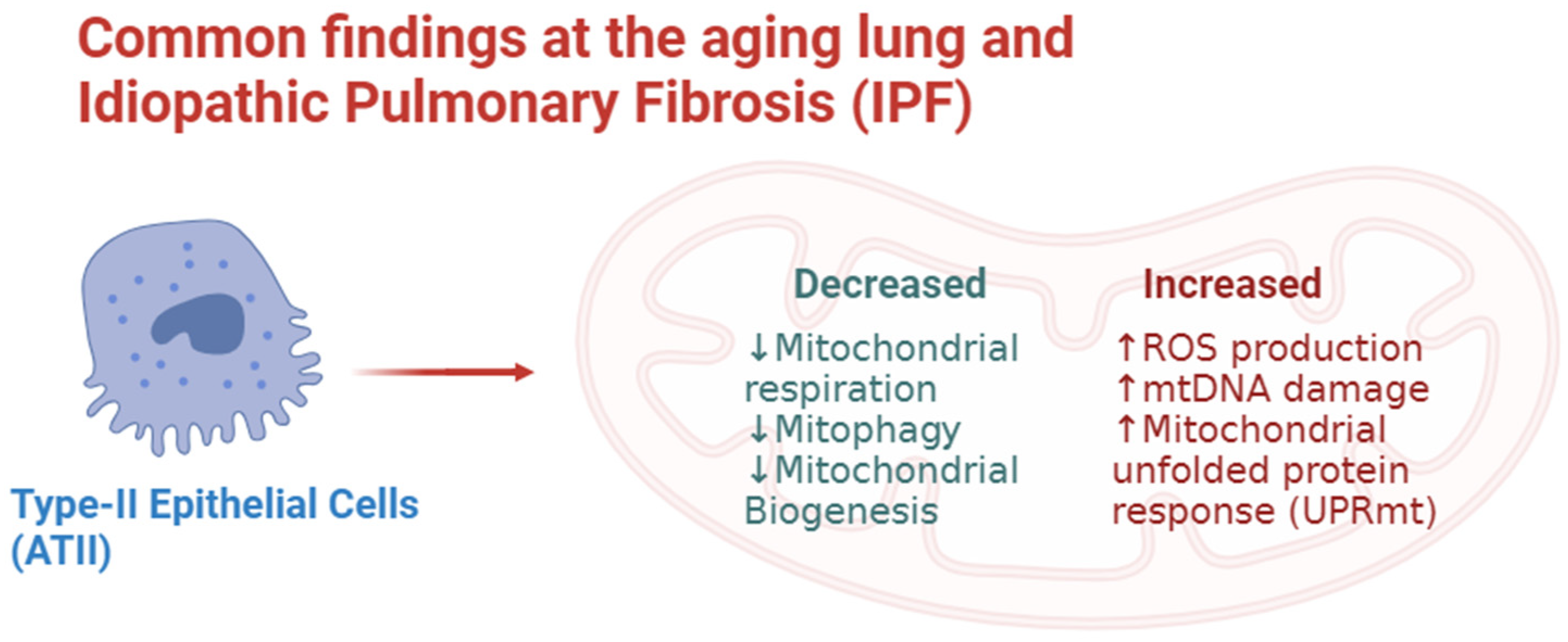 Biology 12 01237 g001