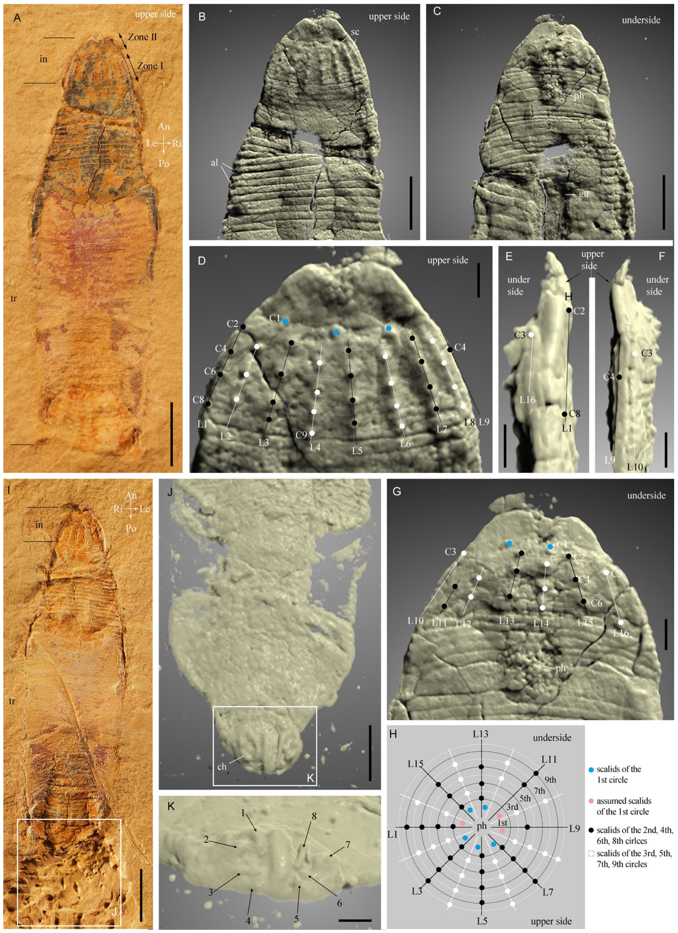 Biology 12 01242 g001
