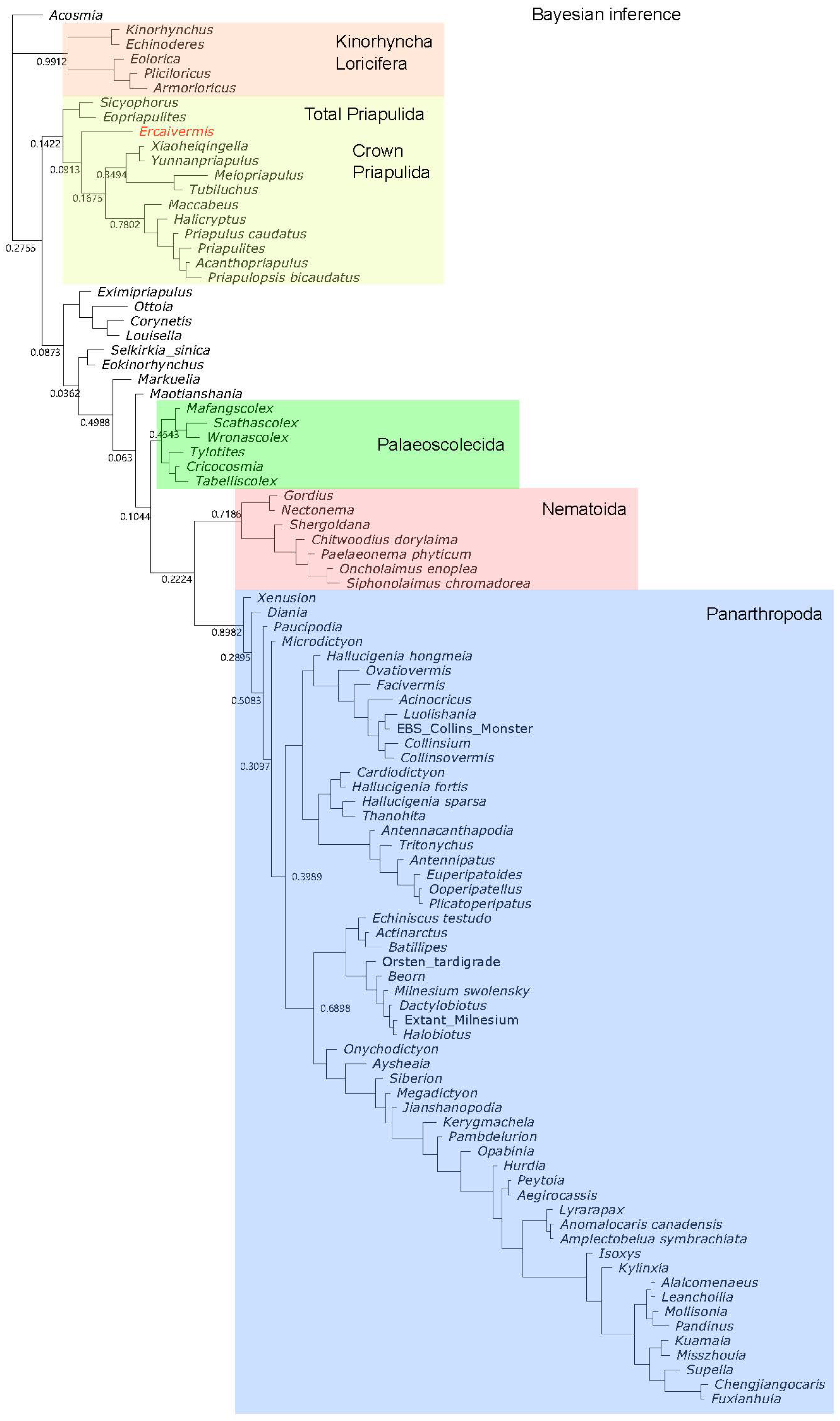 Biology 12 01242 g0a4