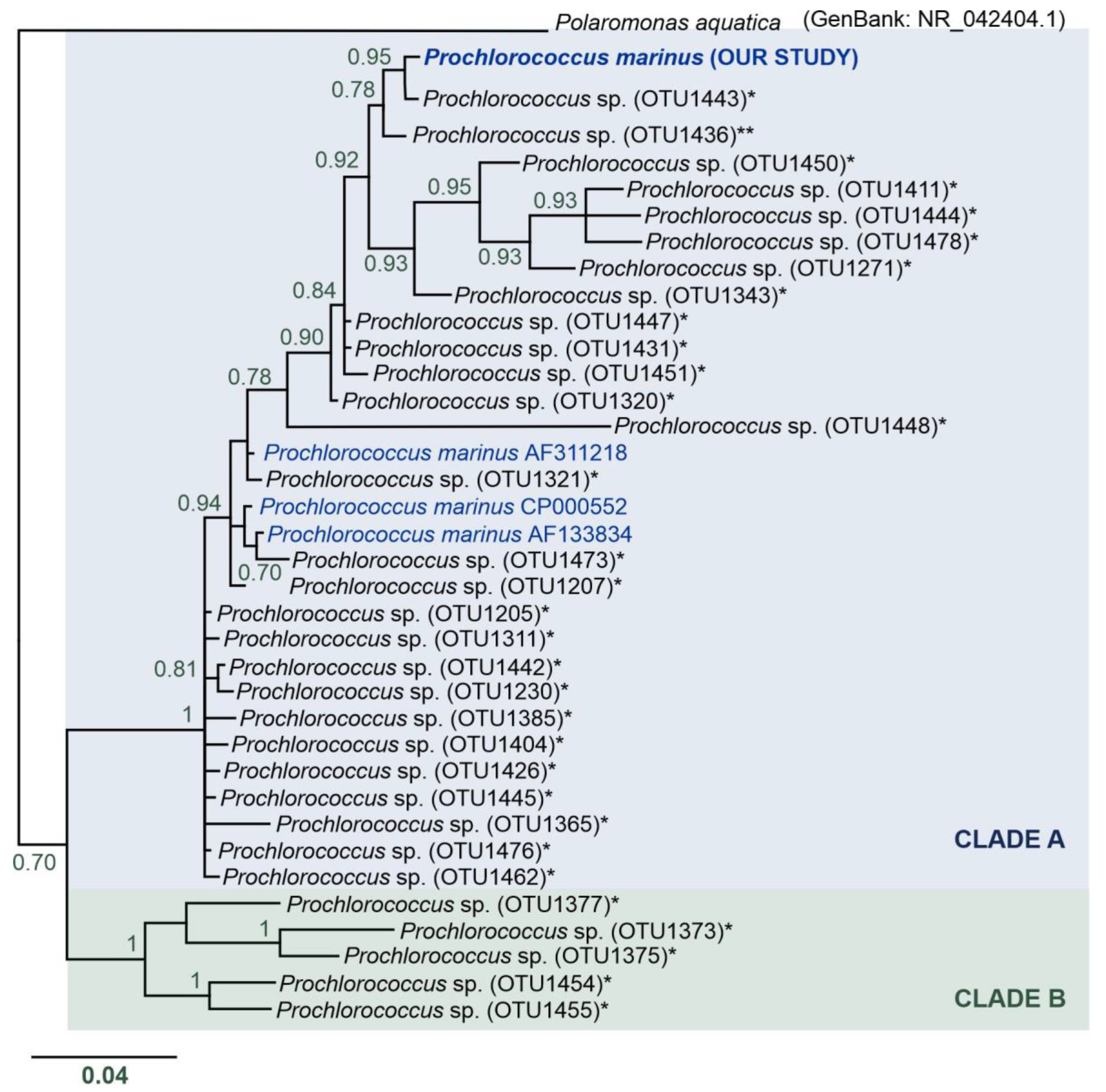 Biology 12 01246 g006