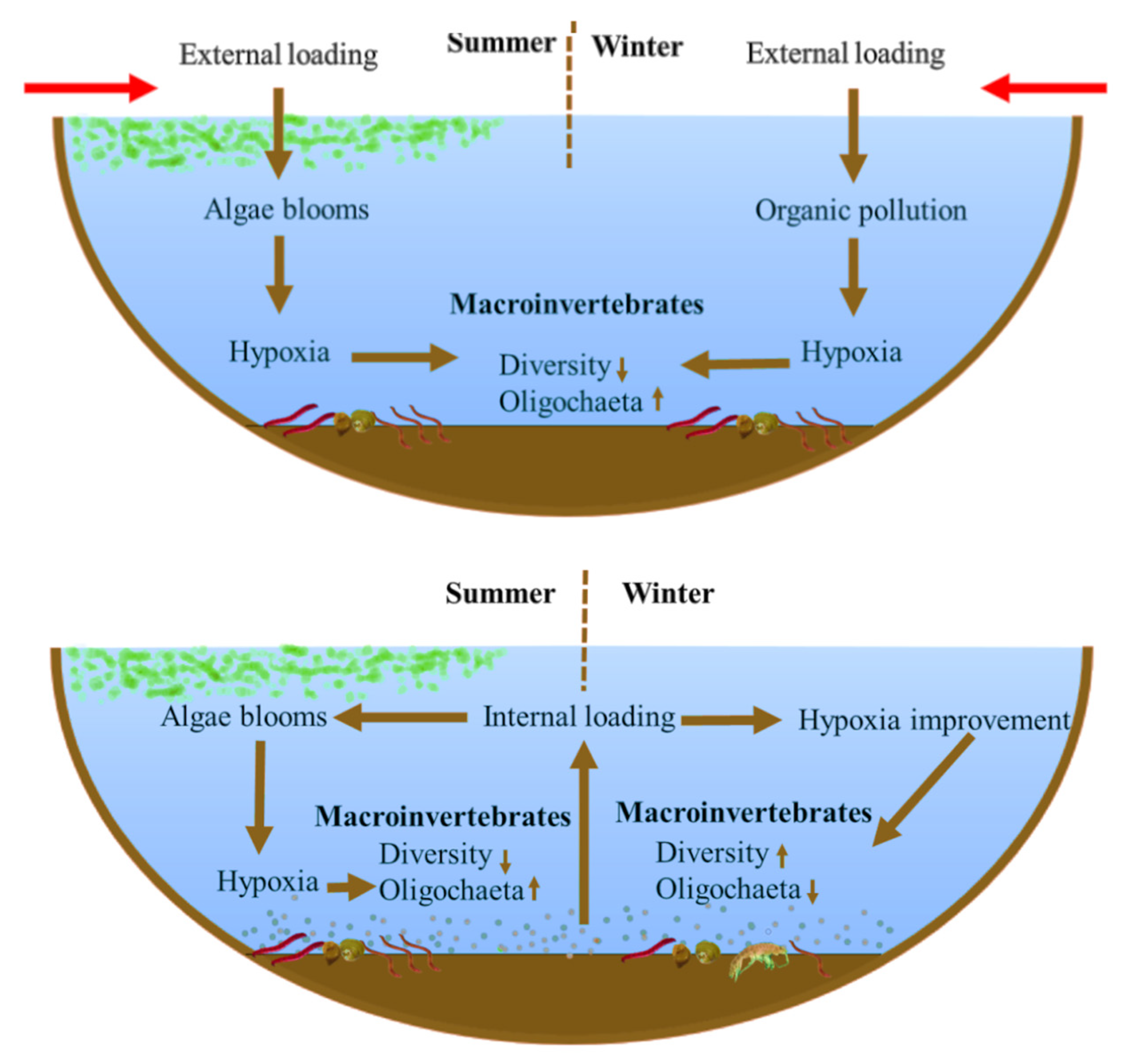 Biology 12 01247 g008 Biology 12 01247 g008