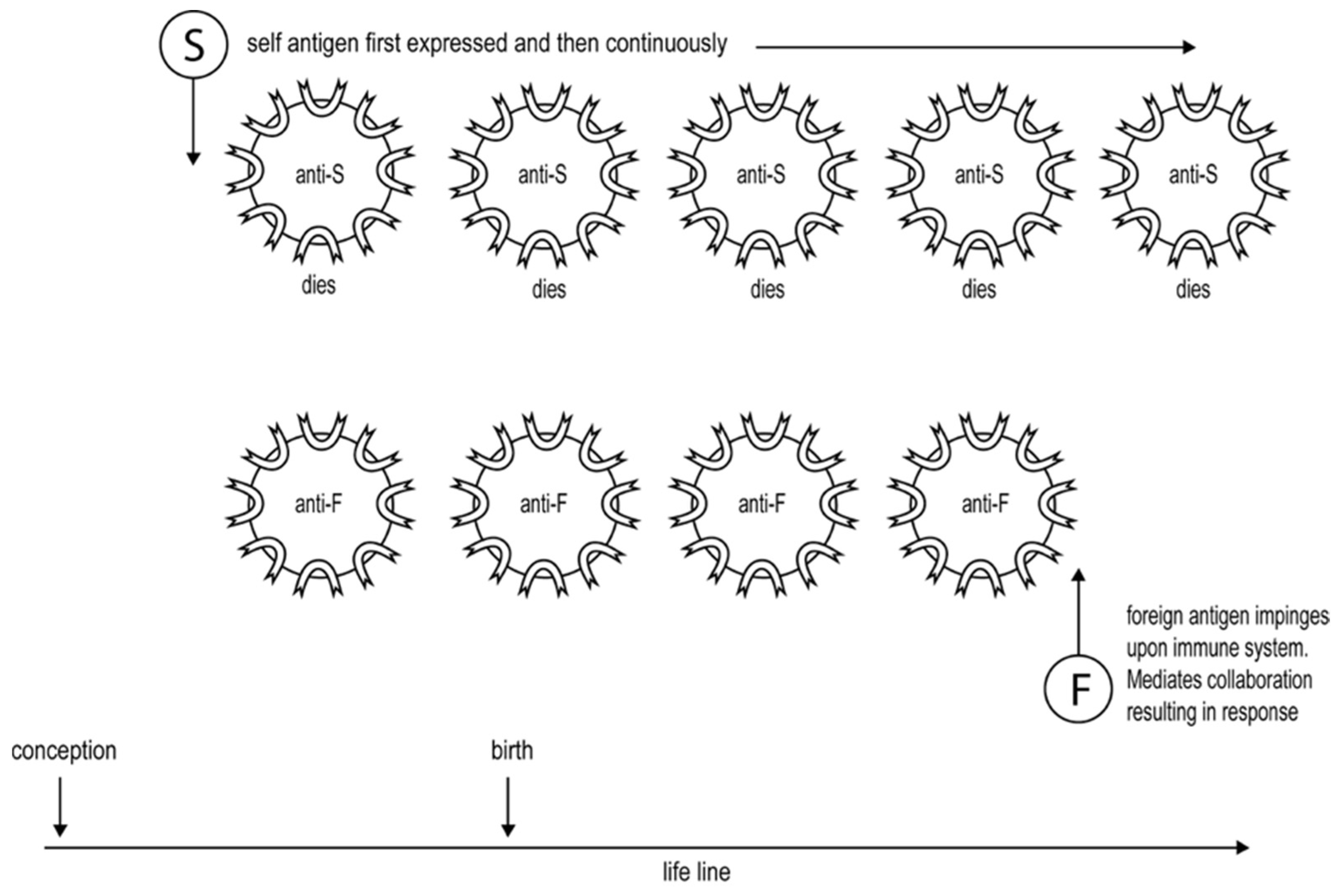 Biology 12 01253 g001