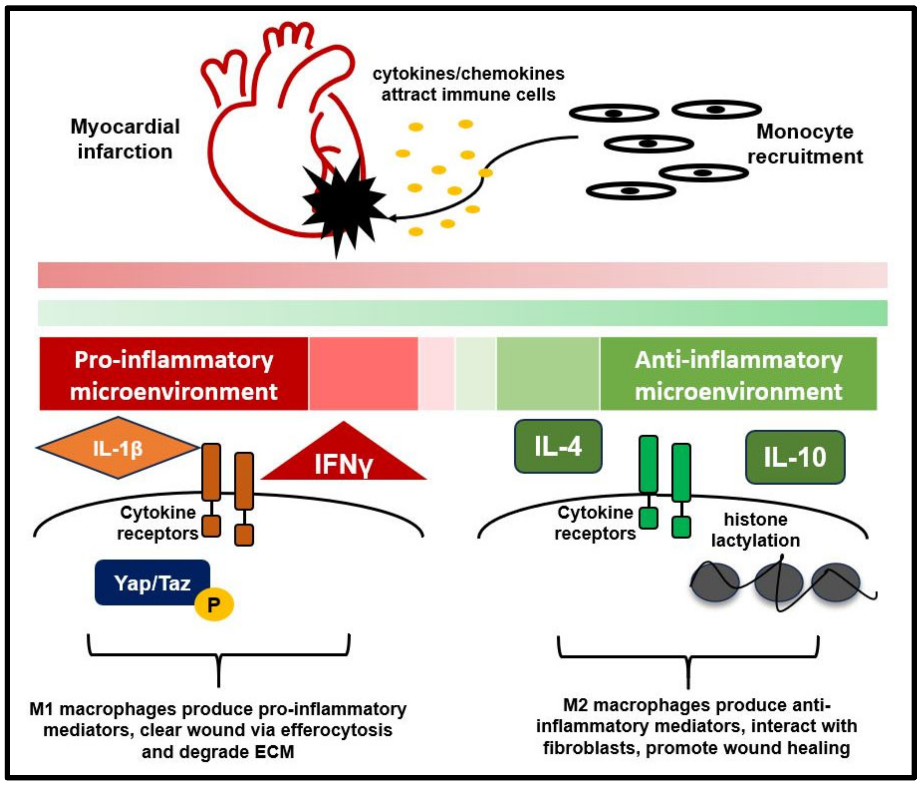 Biology 12 01258 g001