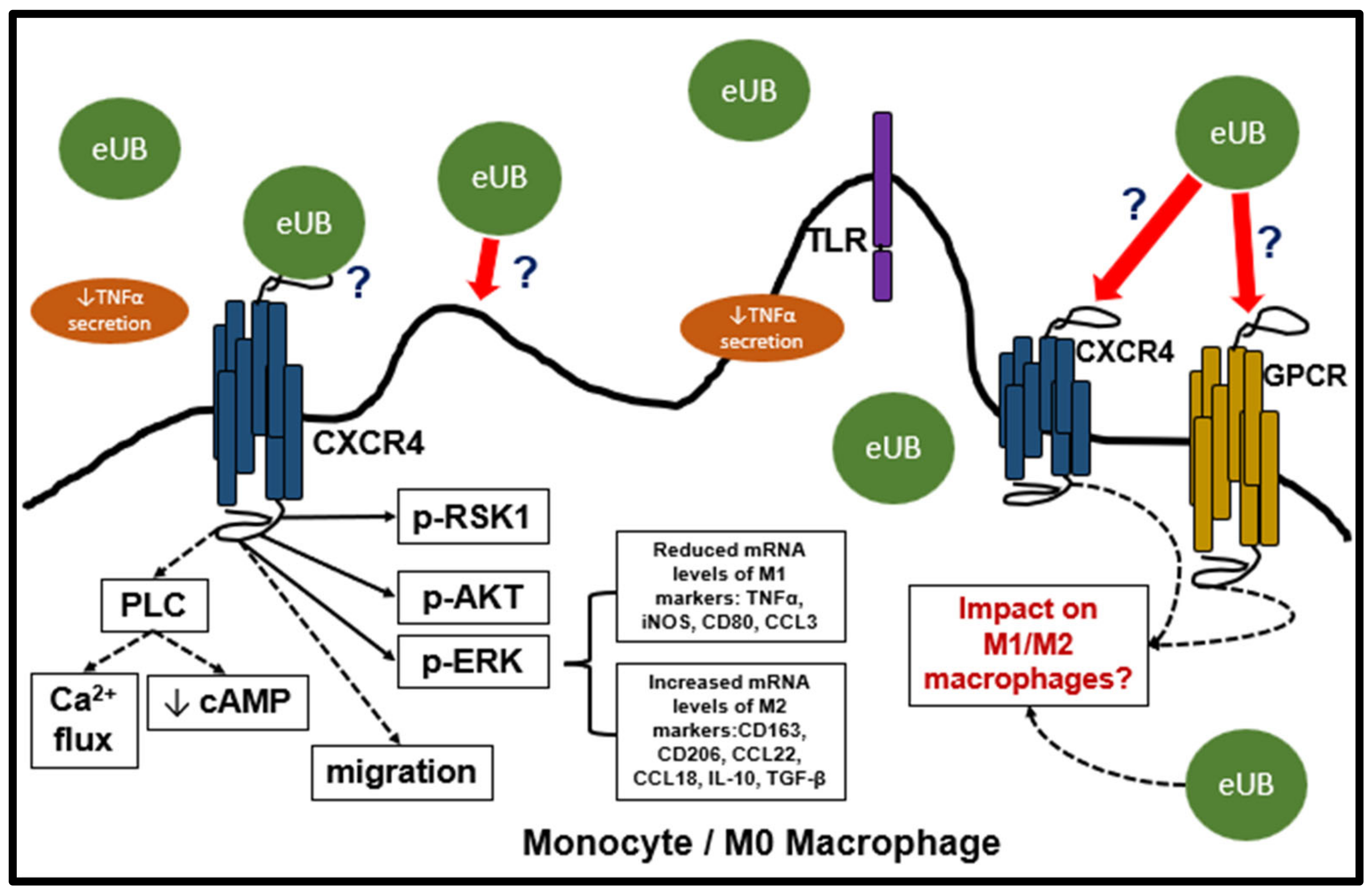 Biology 12 01258 g004
