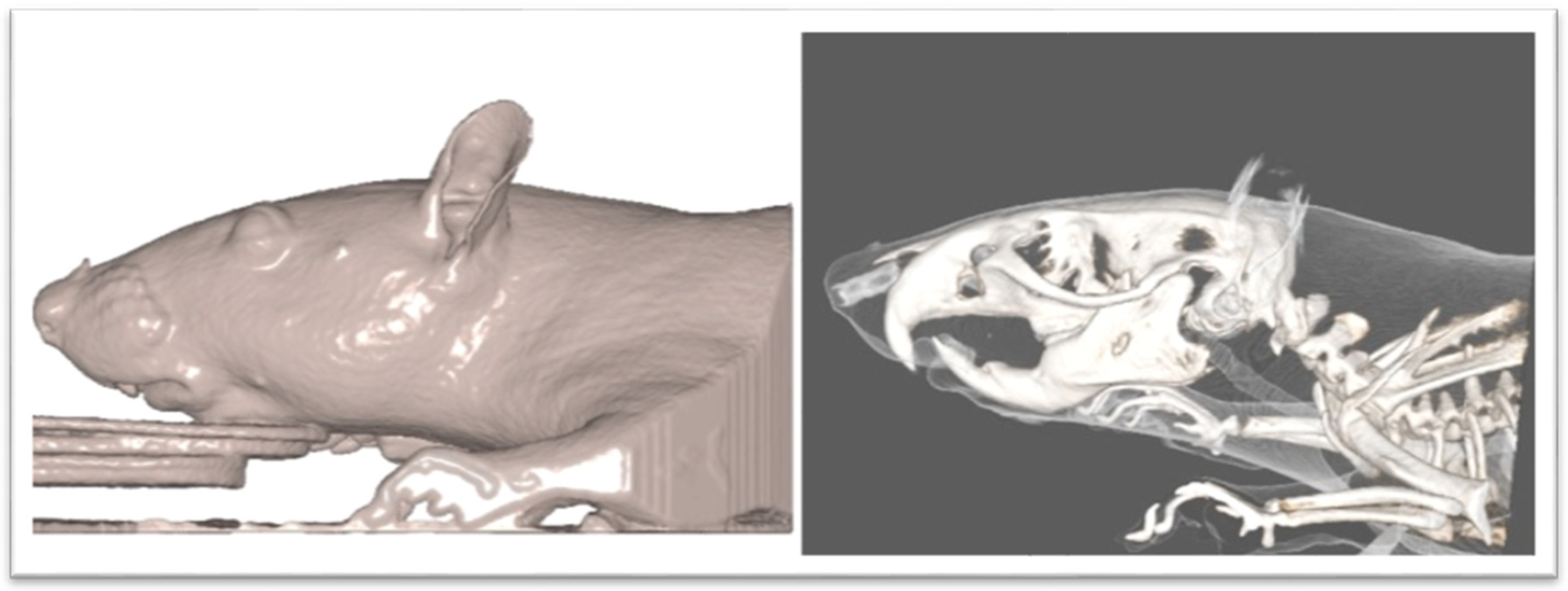 Biology 12 01260 g002