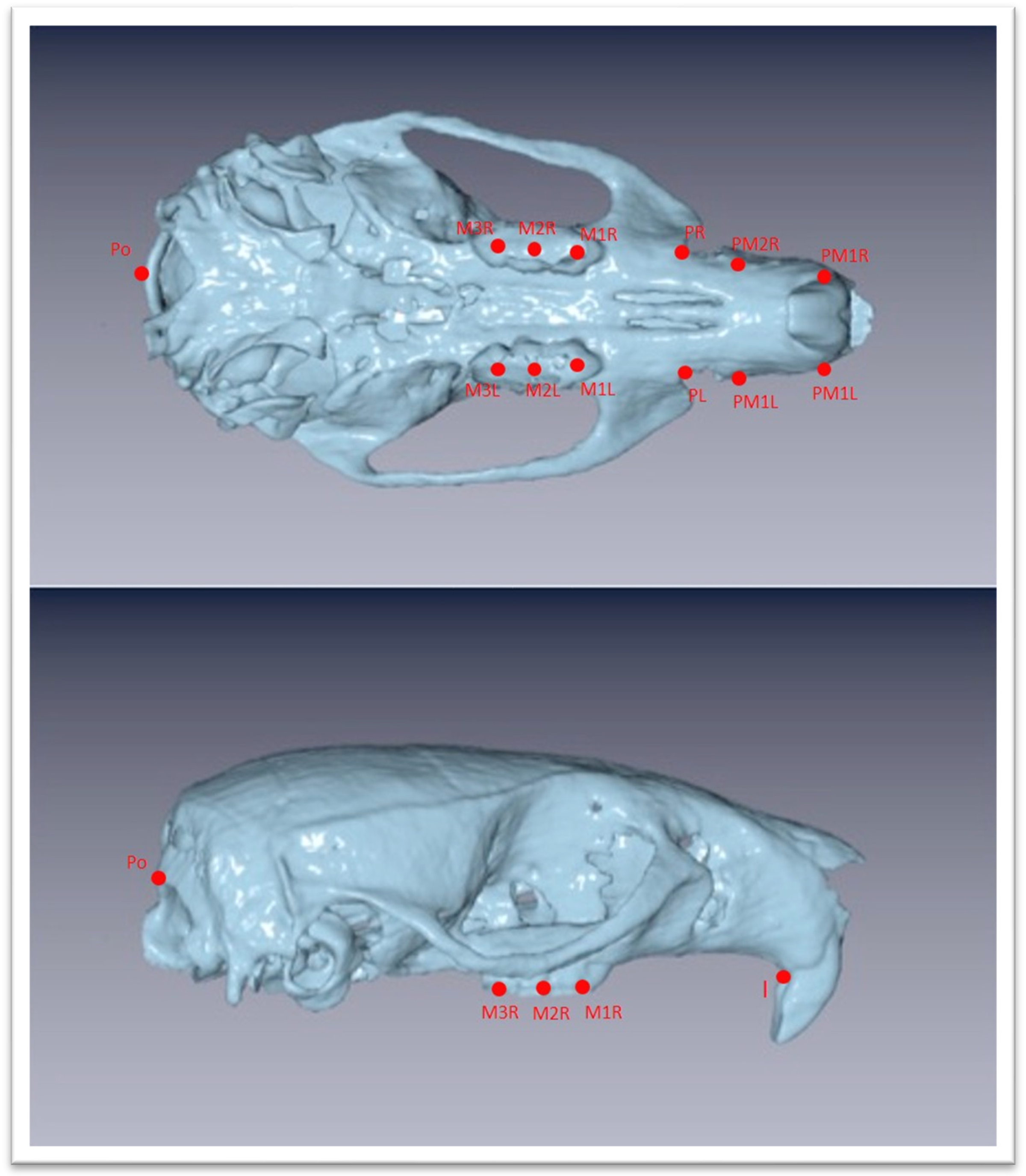 Biology 12 01260 g003