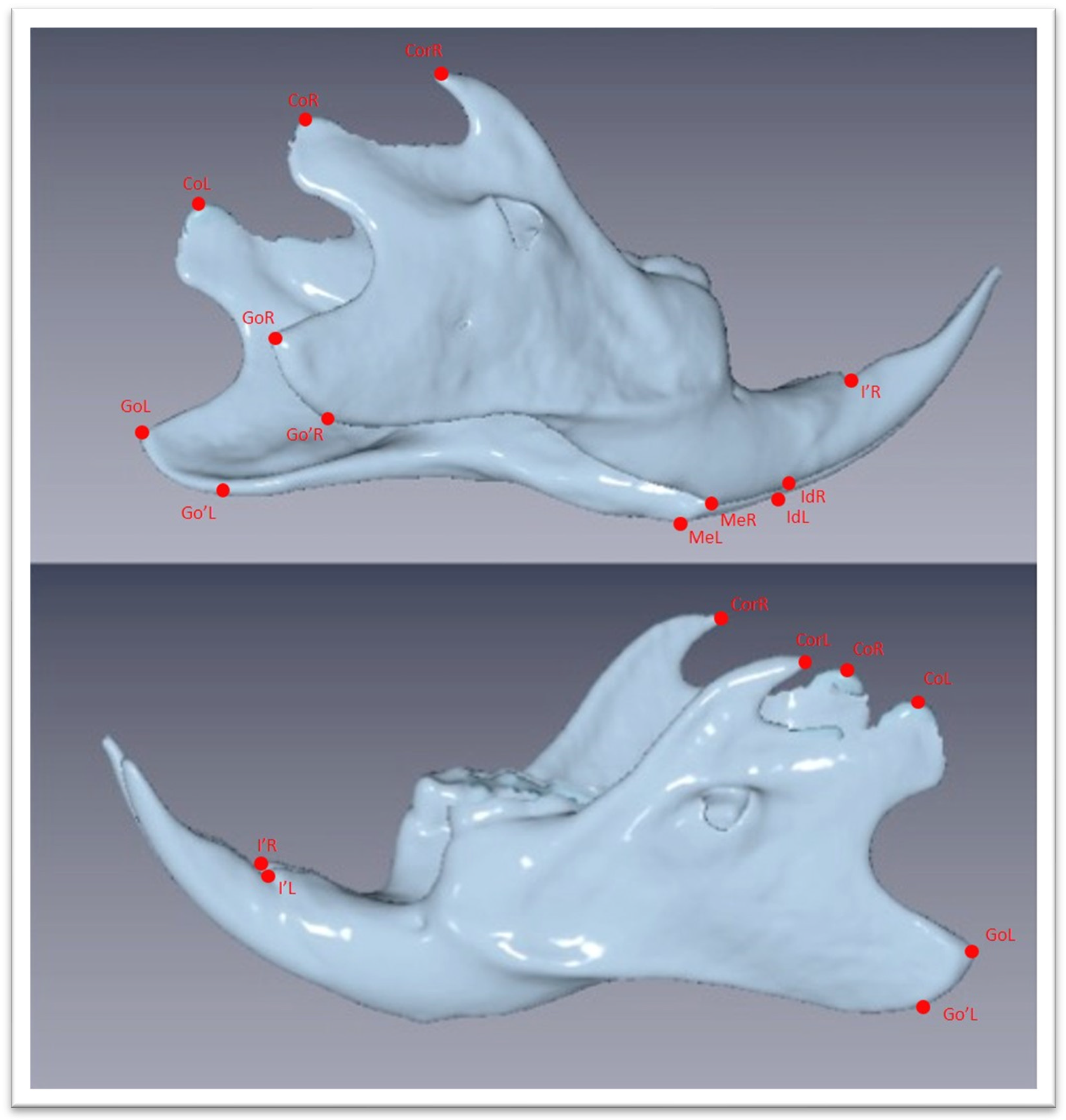 Biology 12 01260 g004