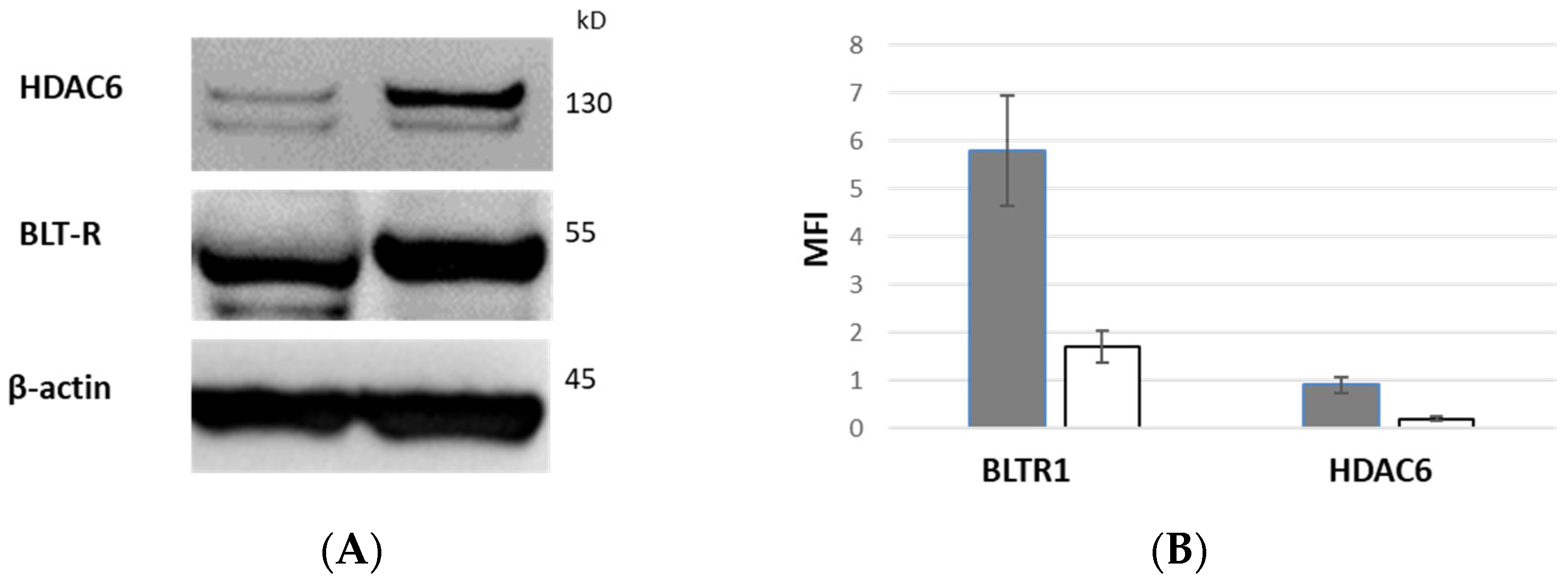 Biology 12 01261 g004
